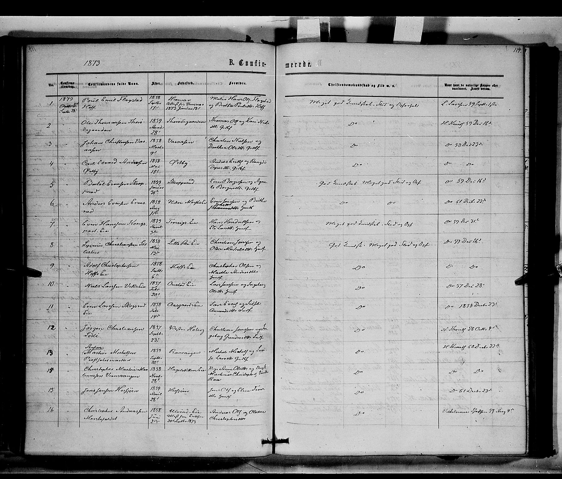 Stange prestekontor, SAH/PREST-002/K/L0014: Parish register (official) no. 14, 1862-1879, p. 114
