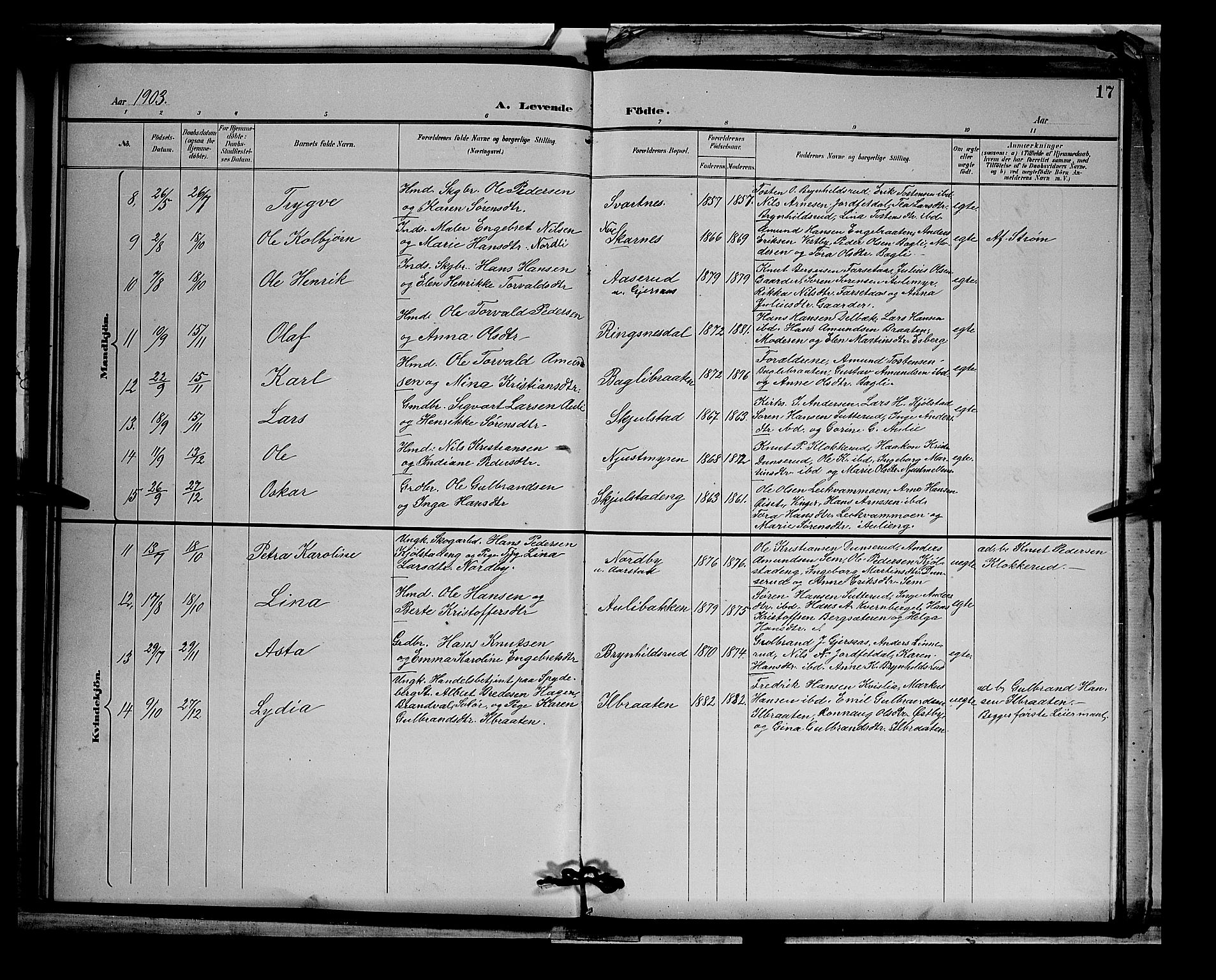 Sør-Odal prestekontor, AV/SAH-PREST-030/H/Ha/Hab/L0003: Parish register (copy) no. 3, 1895-1906, p. 17