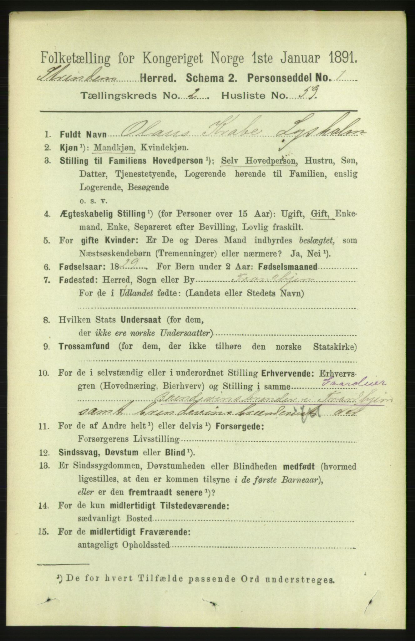 RA, 1891 census for 1660 Strinda, 1891, p. 1300