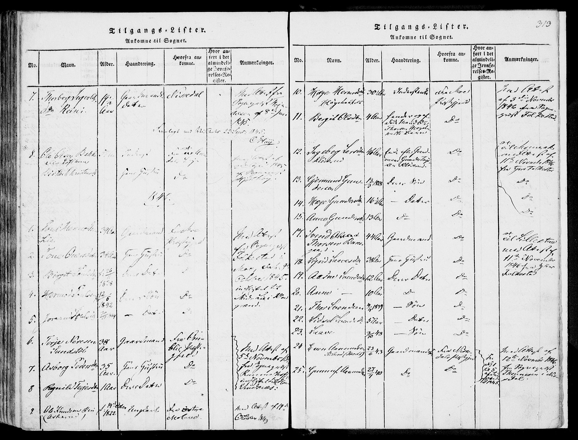 Fyresdal kirkebøker, SAKO/A-263/F/Fa/L0004: Parish register (official) no. I 4, 1815-1854, p. 313