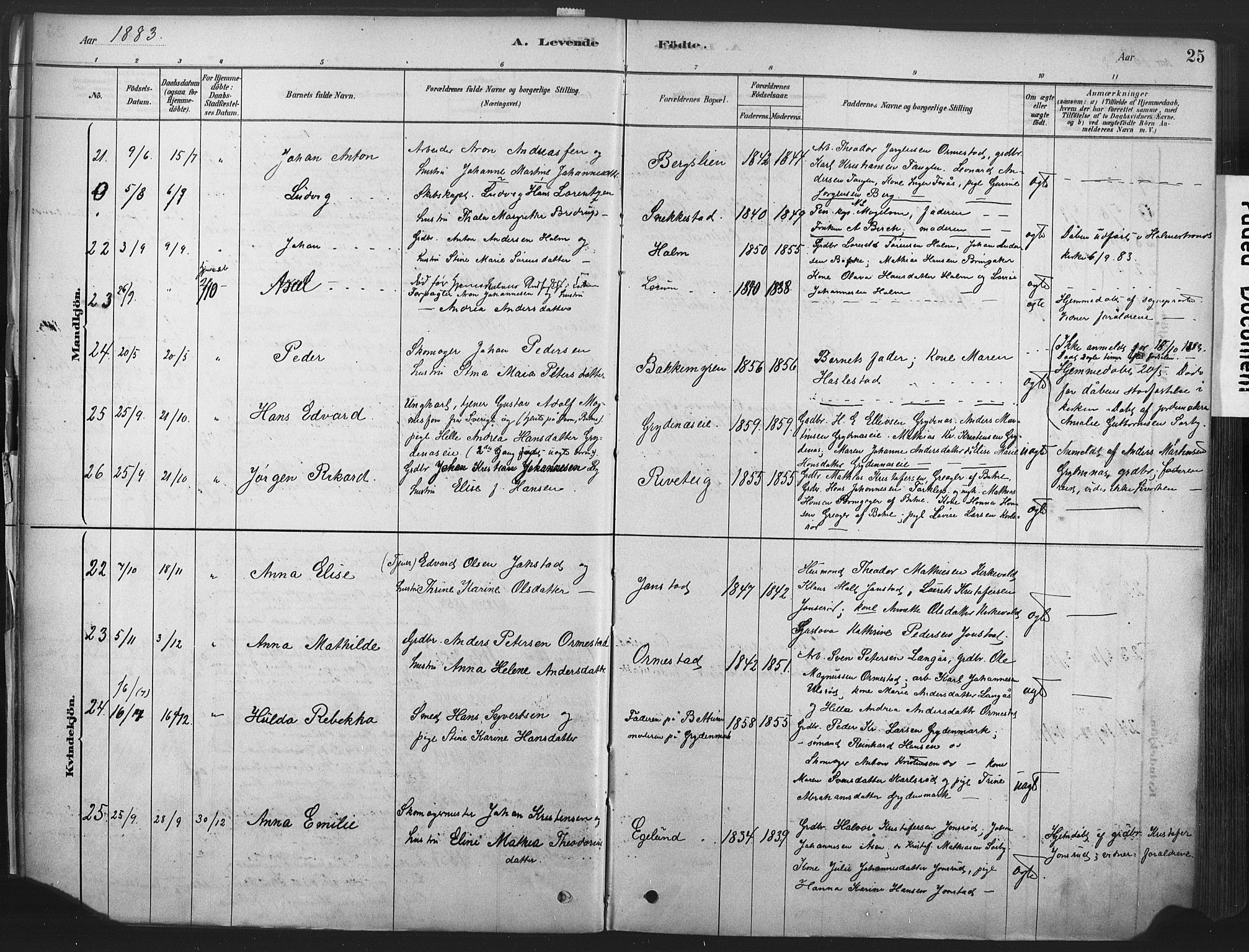 Våle kirkebøker, AV/SAKO-A-334/F/Fa/L0011: Parish register (official) no. I 11, 1878-1906, p. 25