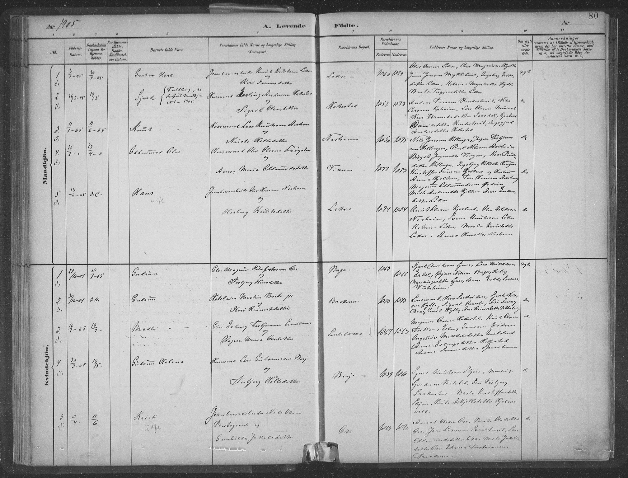 Ulvik sokneprestembete, SAB/A-78801/H/Hab: Parish register (copy) no. A 3, 1883-1908, p. 80