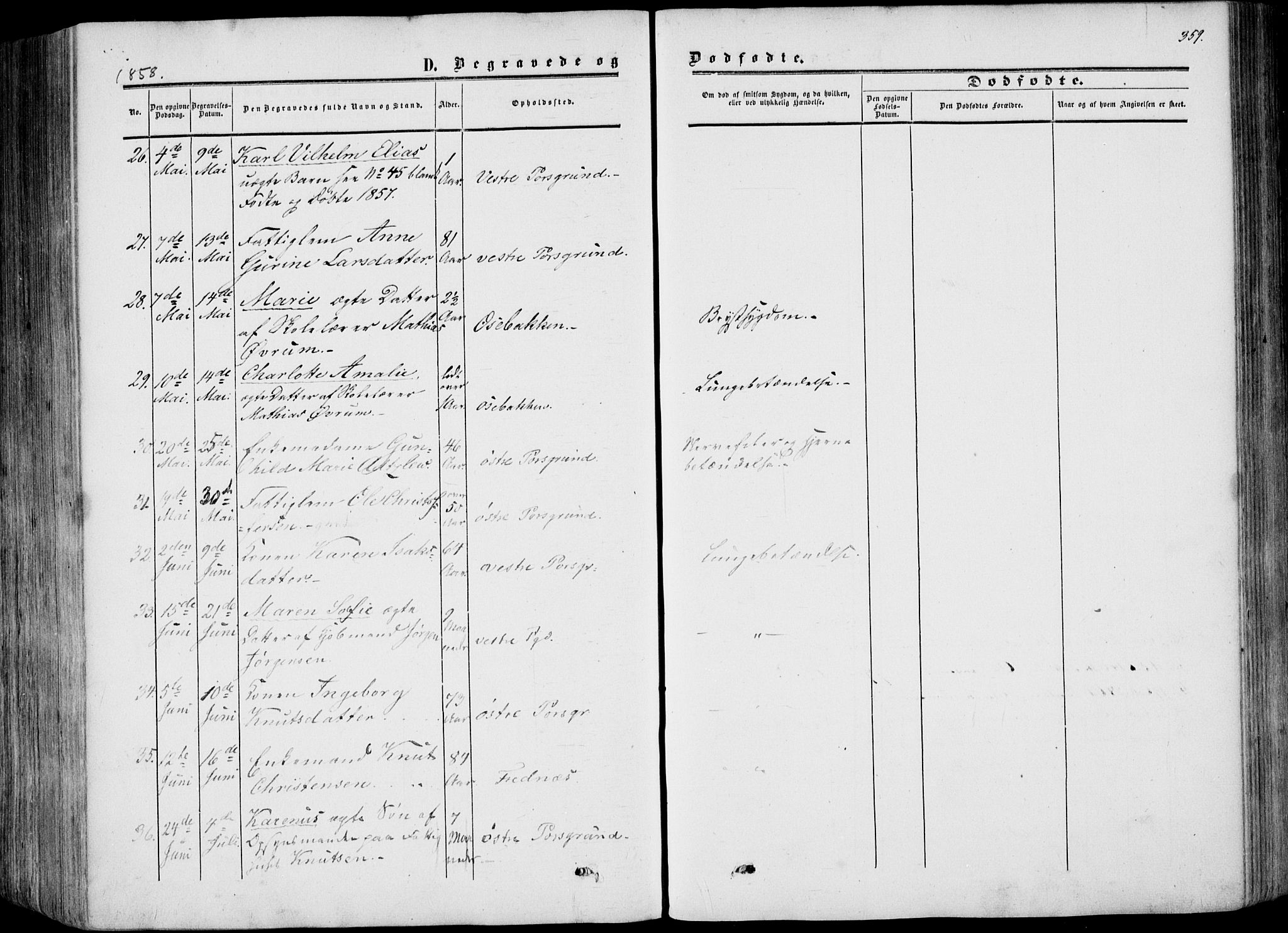 Porsgrunn kirkebøker , AV/SAKO-A-104/F/Fa/L0007: Parish register (official) no. 7, 1858-1877, p. 359