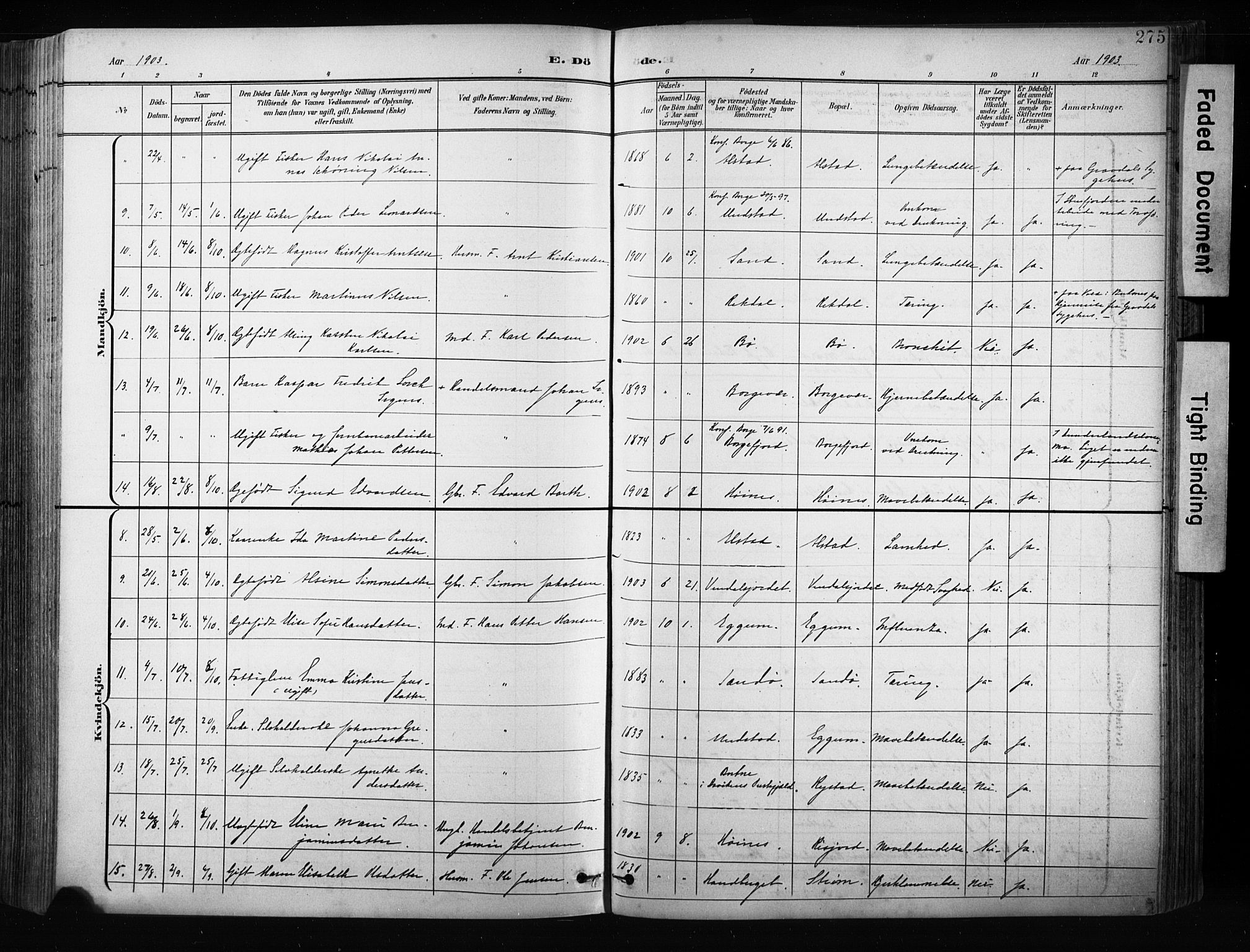 Ministerialprotokoller, klokkerbøker og fødselsregistre - Nordland, SAT/A-1459/880/L1134: Parish register (official) no. 880A08, 1899-1908, p. 275