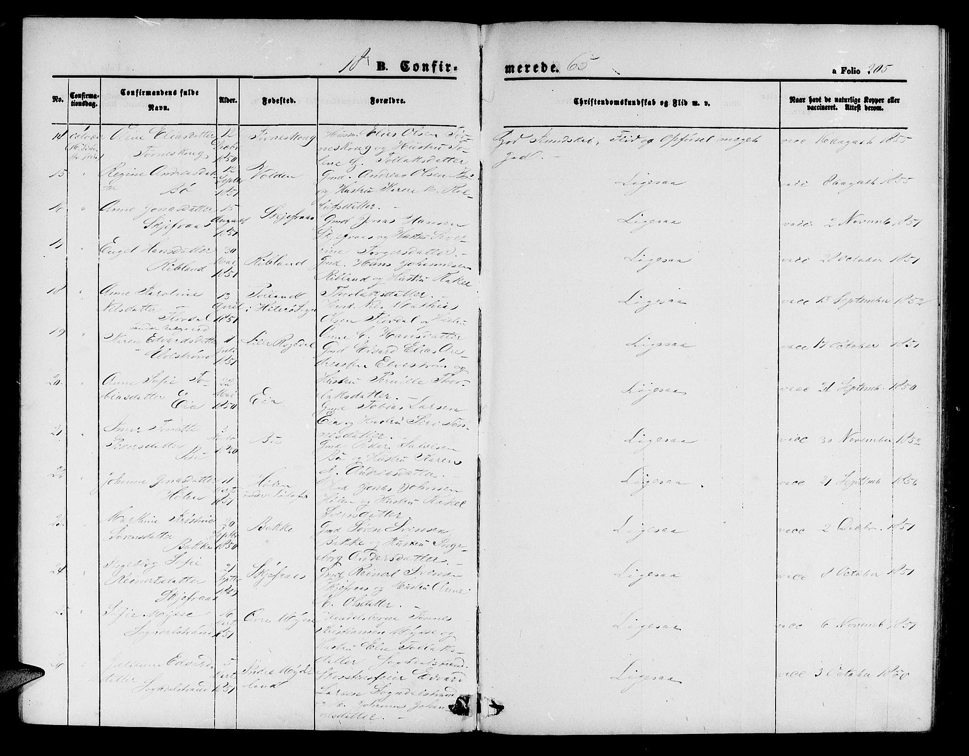 Sokndal sokneprestkontor, AV/SAST-A-101808: Parish register (copy) no. B 3, 1865-1879, p. 205