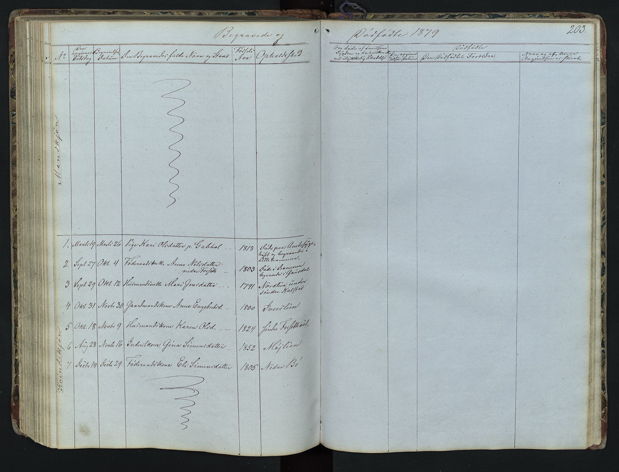 Vestre Gausdal prestekontor, SAH/PREST-094/H/Ha/Hab/L0001: Parish register (copy) no. 1, 1867-1895, p. 203