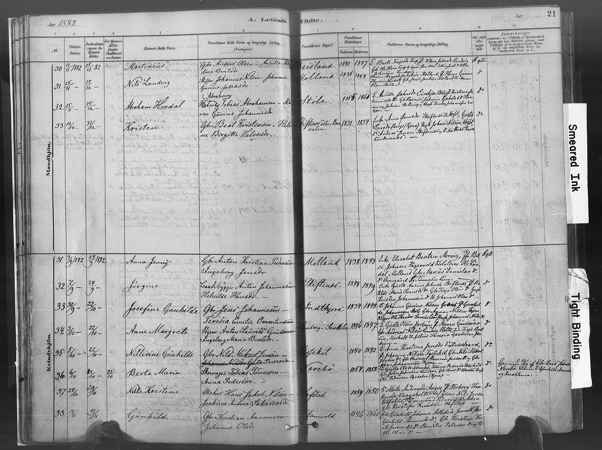 Hommedal sokneprestkontor, AV/SAK-1111-0023/F/Fa/Fab/L0006: Parish register (official) no. A 6, 1878-1897, p. 21