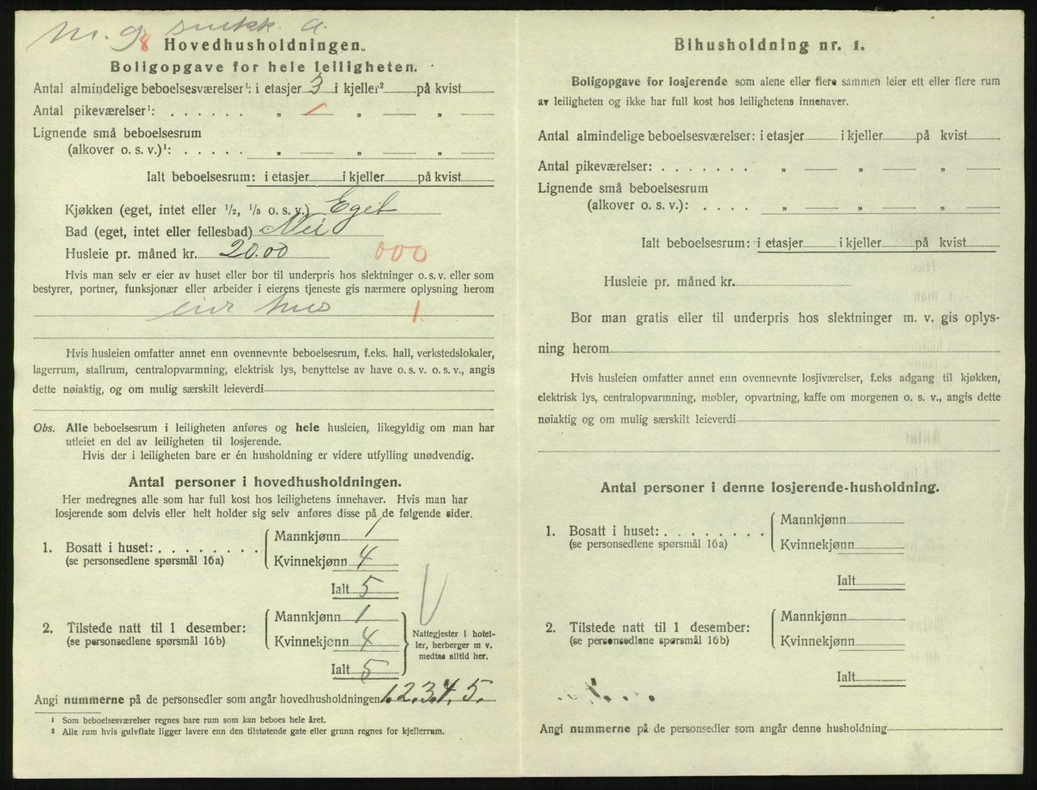 SAKO, 1920 census for Larvik, 1920, p. 4847