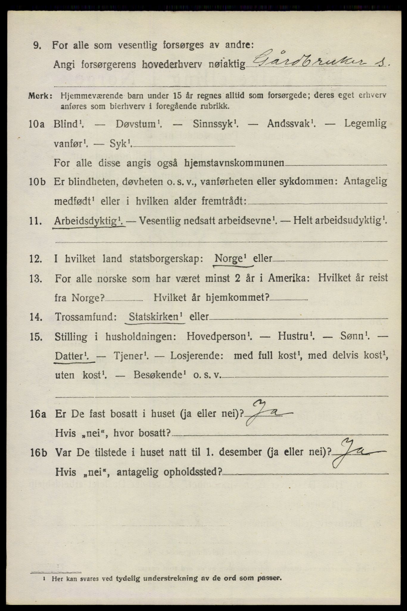 SAO, 1920 census for Nes, 1920, p. 6615