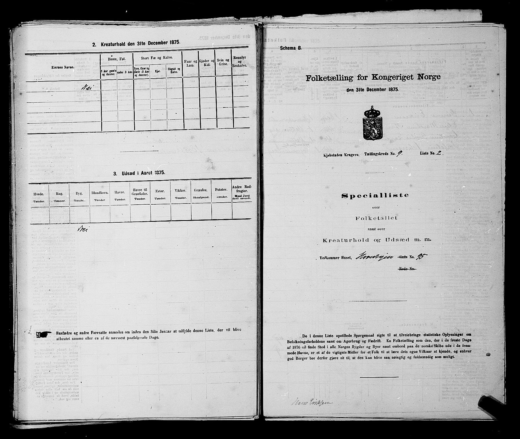 SAKO, 1875 census for 0801P Kragerø, 1875, p. 194