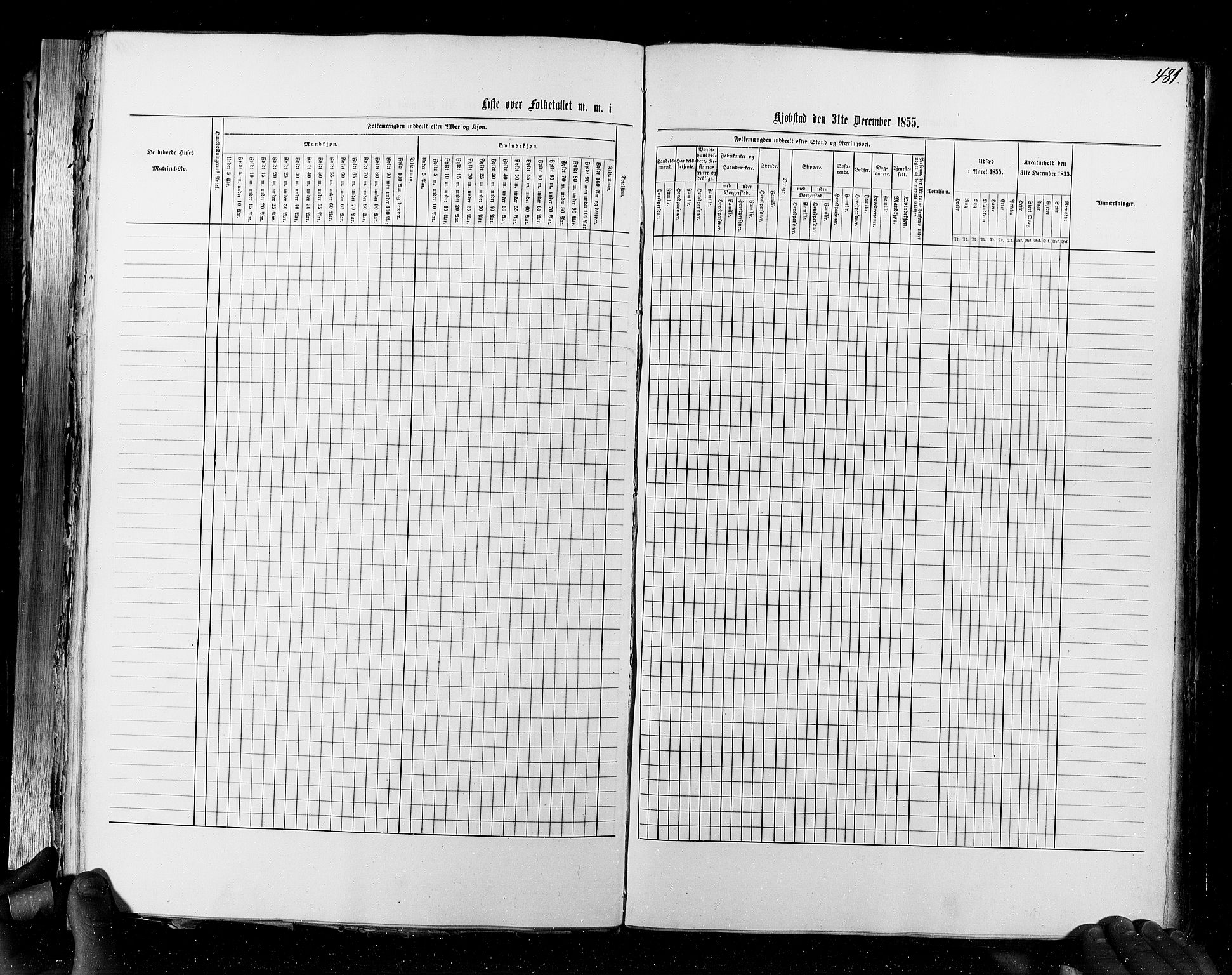 RA, Census 1855, vol. 7: Fredrikshald-Kragerø, 1855, p. 481