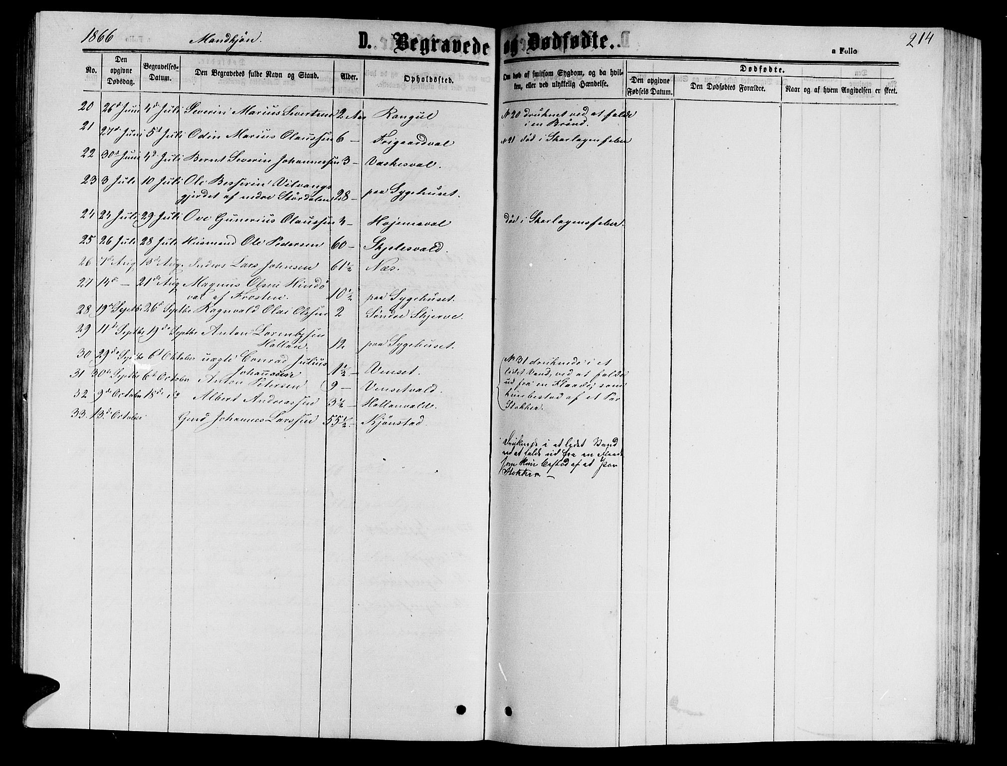Ministerialprotokoller, klokkerbøker og fødselsregistre - Nord-Trøndelag, SAT/A-1458/717/L0170: Parish register (copy) no. 717C02, 1866-1866, p. 214
