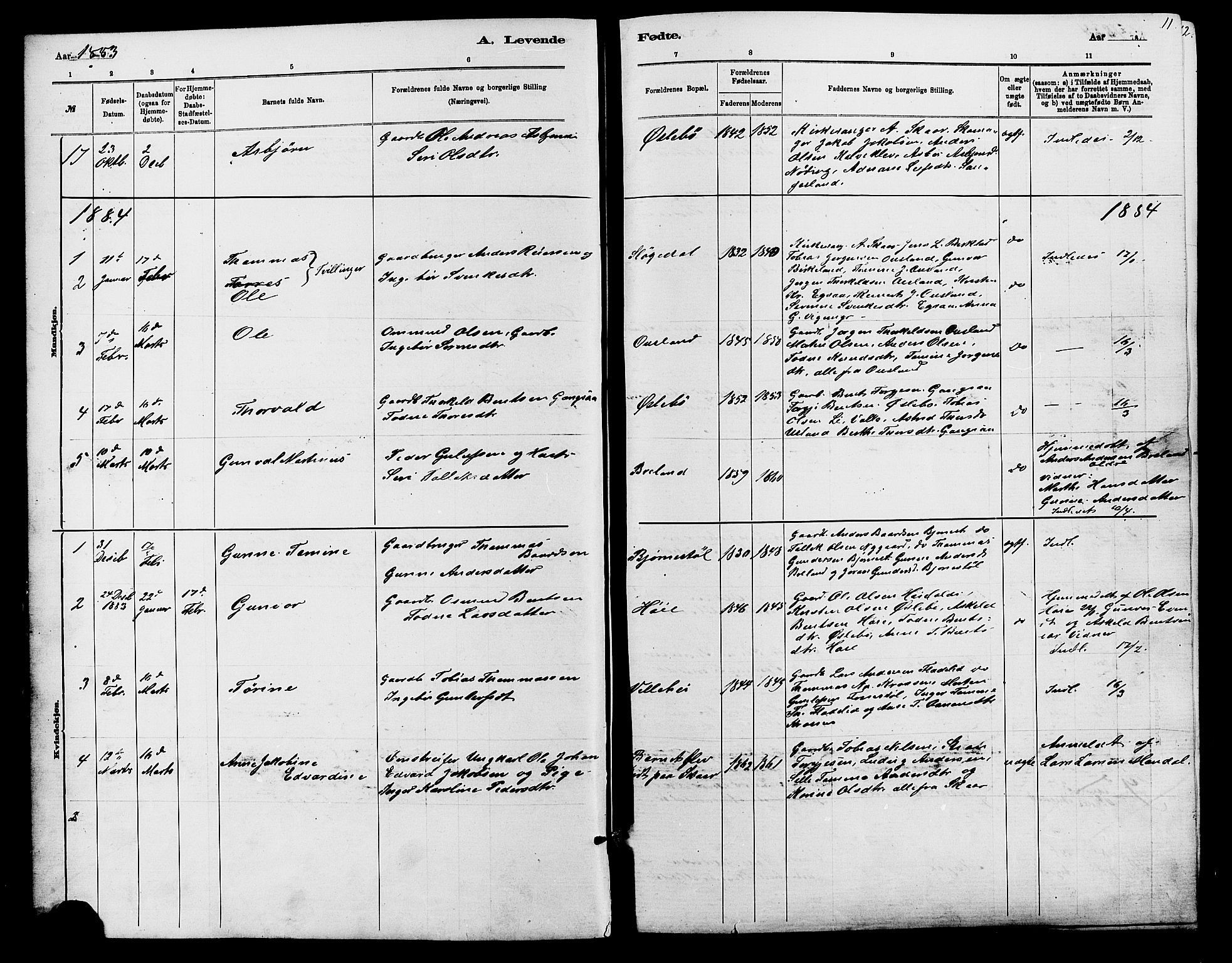 Holum sokneprestkontor, SAK/1111-0022/F/Fb/Fbc/L0003: Parish register (copy) no. B 3, 1882-1908, p. 11