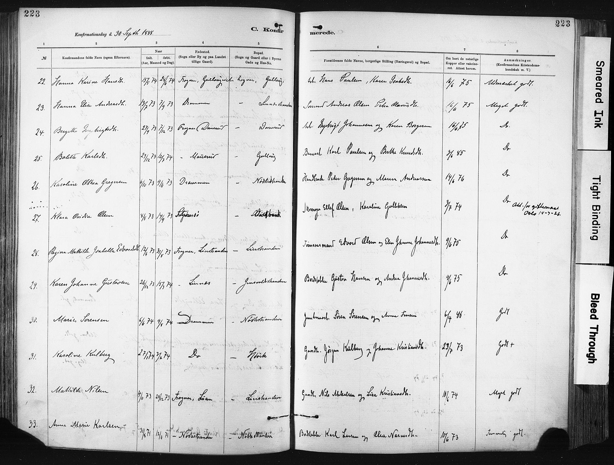 Lier kirkebøker, AV/SAKO-A-230/F/Fa/L0015: Parish register (official) no. I 15, 1883-1894, p. 223