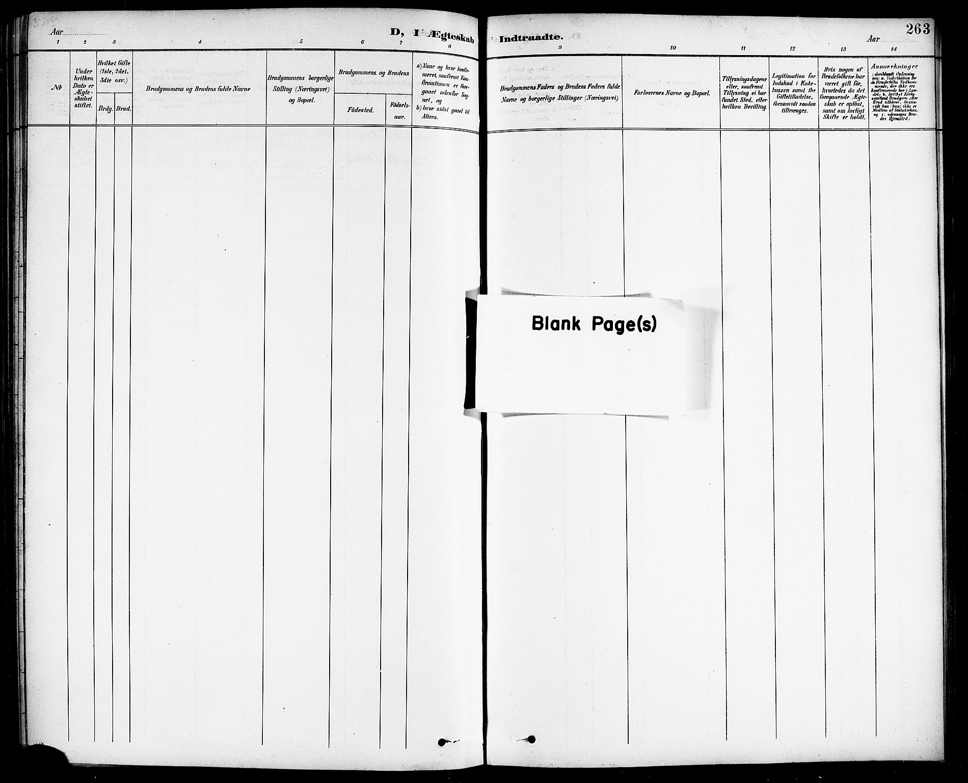 Ministerialprotokoller, klokkerbøker og fødselsregistre - Nordland, AV/SAT-A-1459/838/L0559: Parish register (copy) no. 838C06, 1893-1910, p. 263