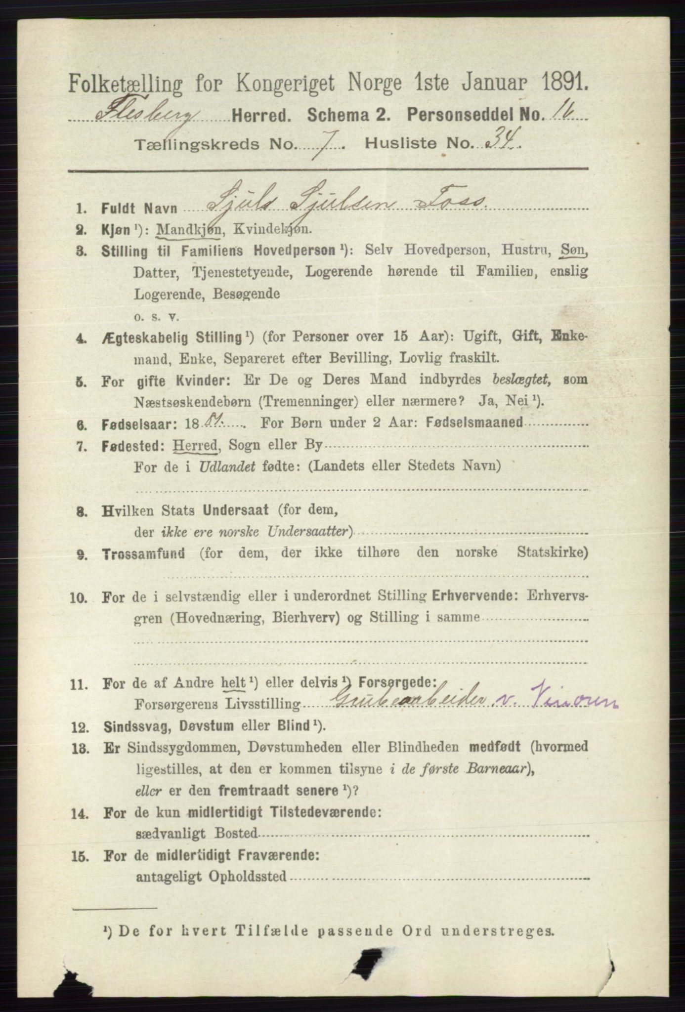 RA, 1891 census for 0631 Flesberg, 1891, p. 1332