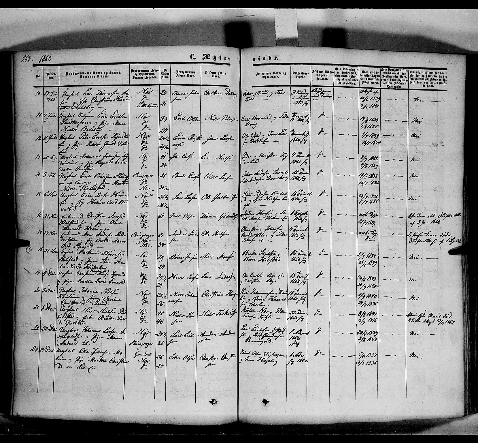 Nes prestekontor, Hedmark, SAH/PREST-020/K/Ka/L0004: Parish register (official) no. 4, 1852-1886, p. 263