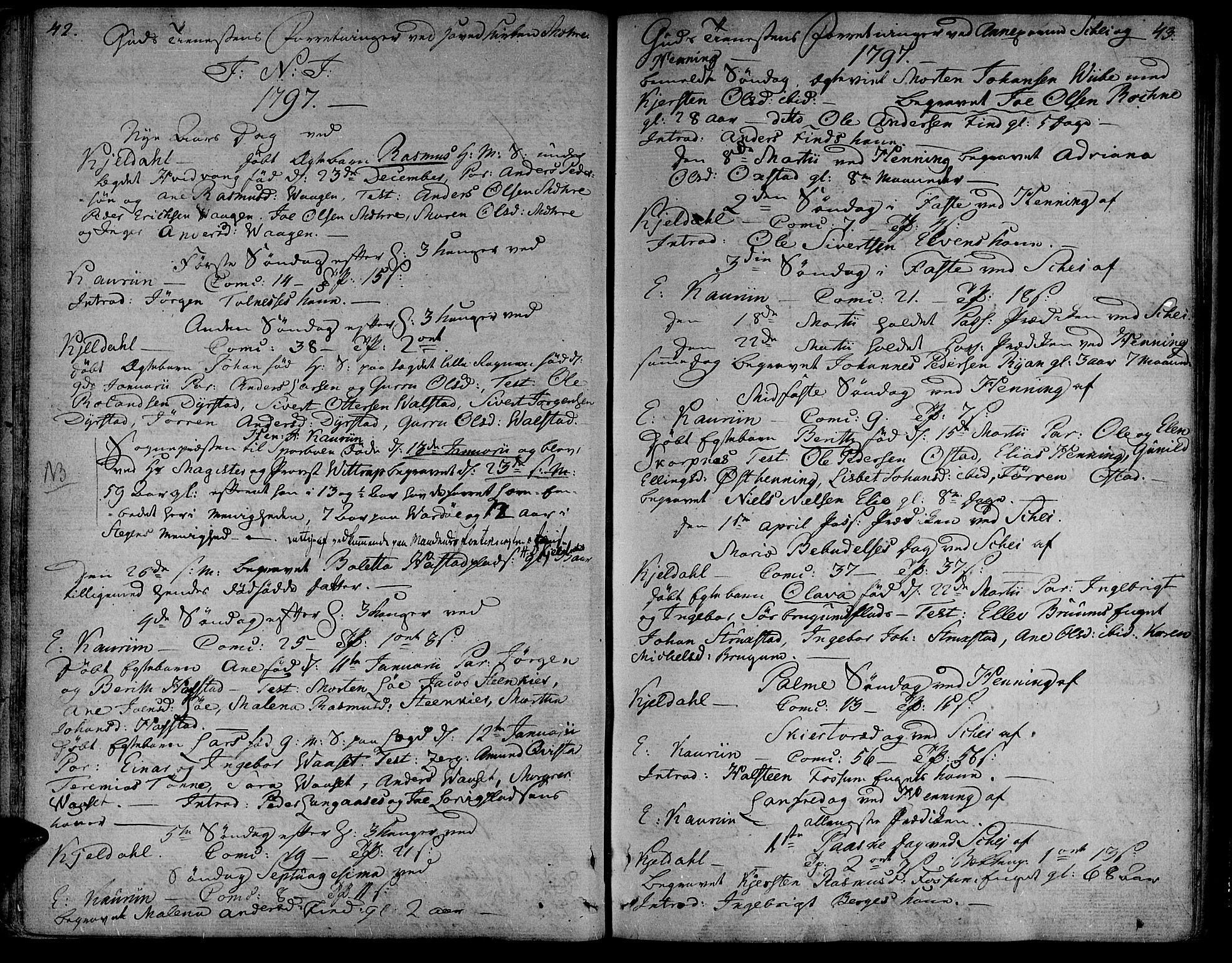 Ministerialprotokoller, klokkerbøker og fødselsregistre - Nord-Trøndelag, AV/SAT-A-1458/735/L0332: Parish register (official) no. 735A03, 1795-1816, p. 42-43