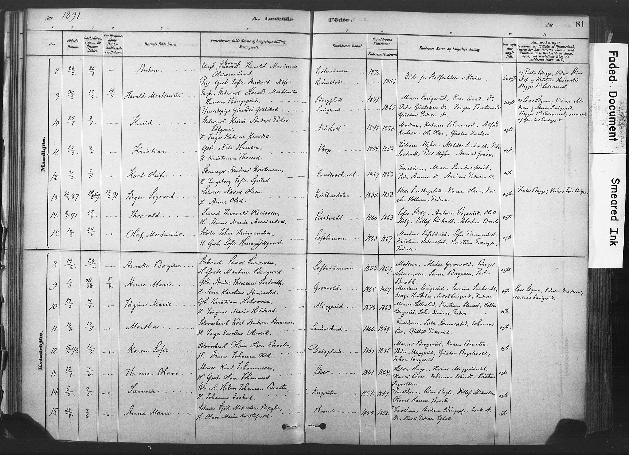 Sandsvær kirkebøker, AV/SAKO-A-244/F/Fd/L0001: Parish register (official) no. IV 1, 1878-1906, p. 81