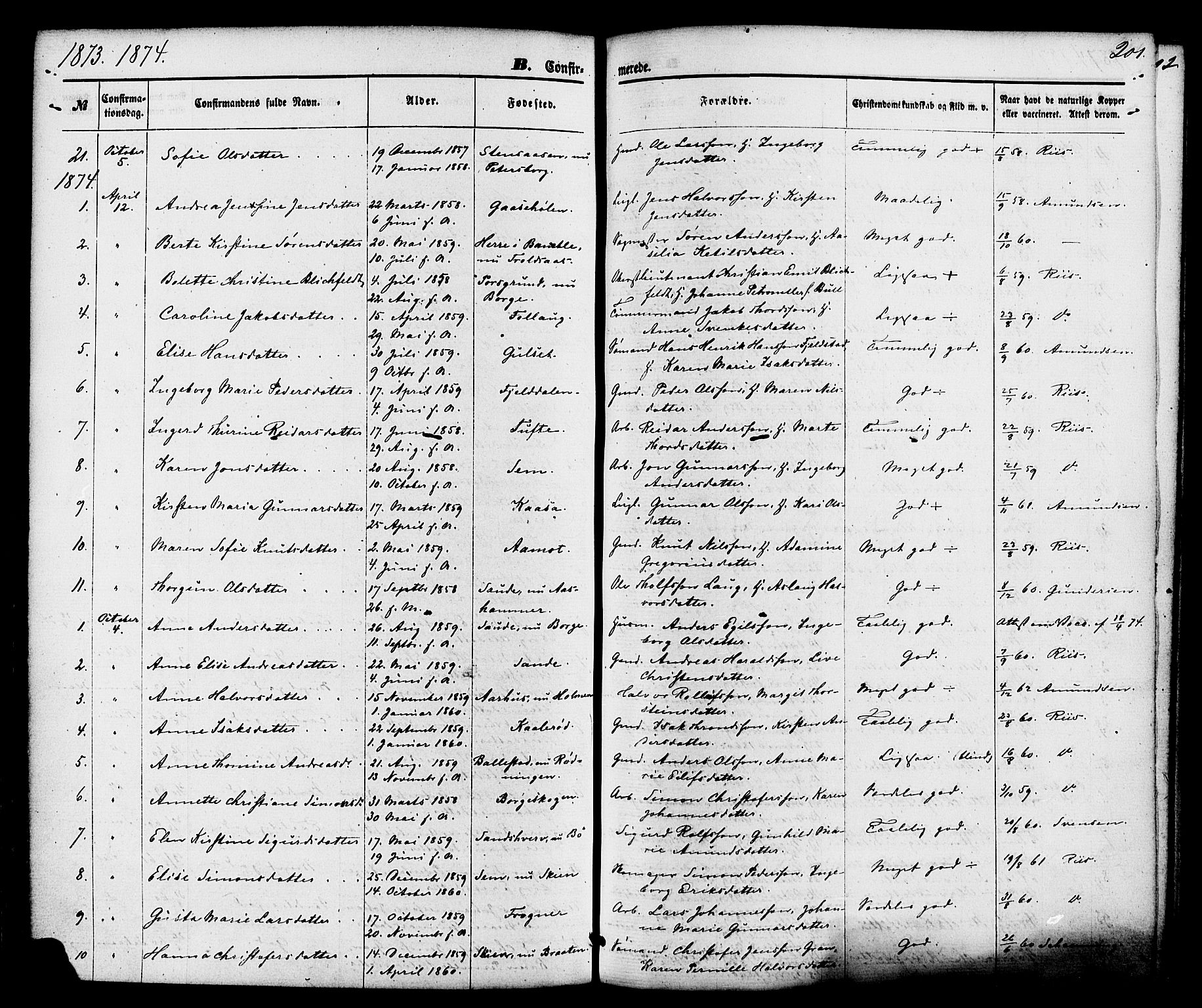 Gjerpen kirkebøker, SAKO/A-265/F/Fa/L0009: Parish register (official) no. I 9, 1872-1885, p. 201