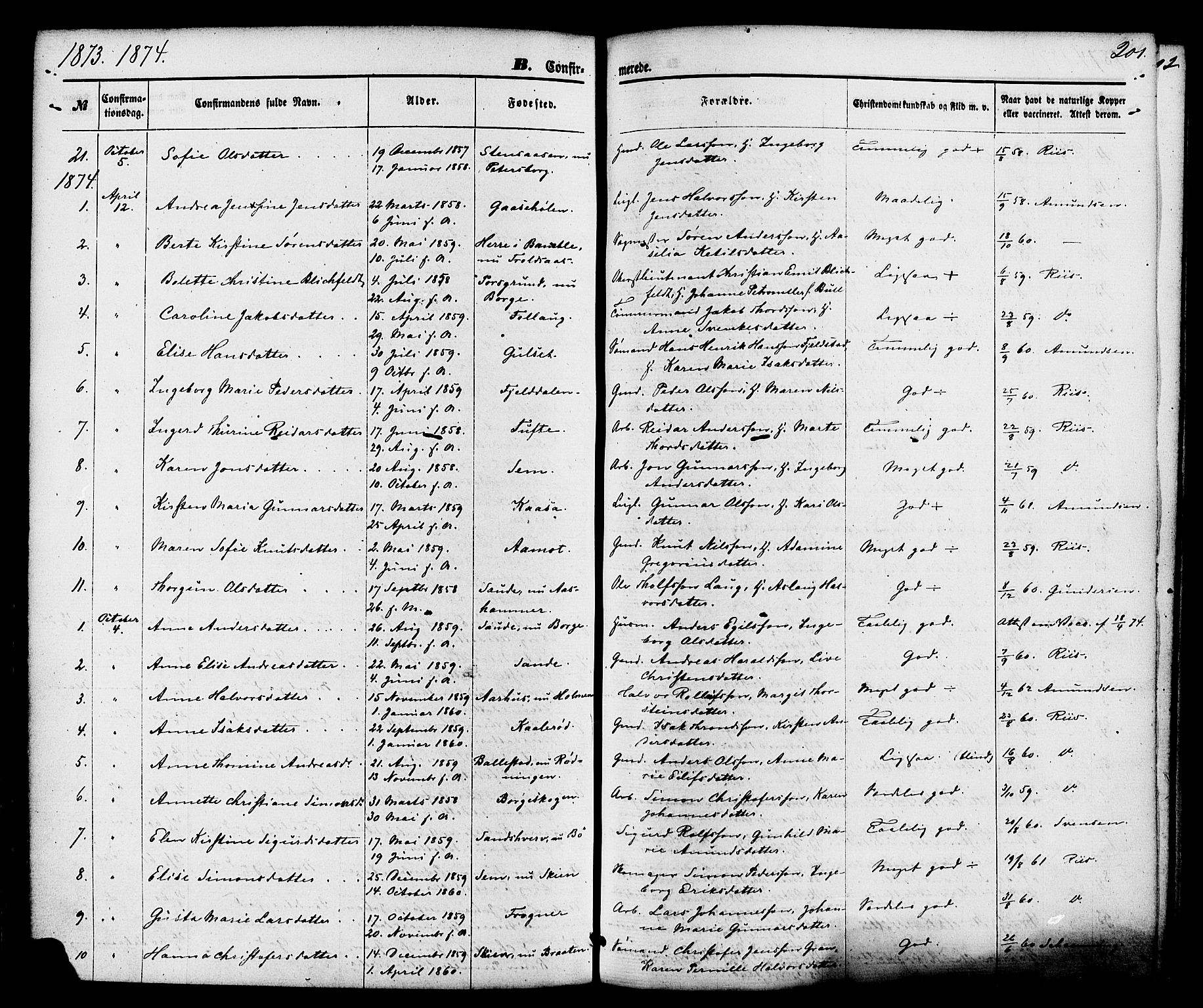 Gjerpen kirkebøker, AV/SAKO-A-265/F/Fa/L0009: Parish register (official) no. I 9, 1872-1885, p. 201