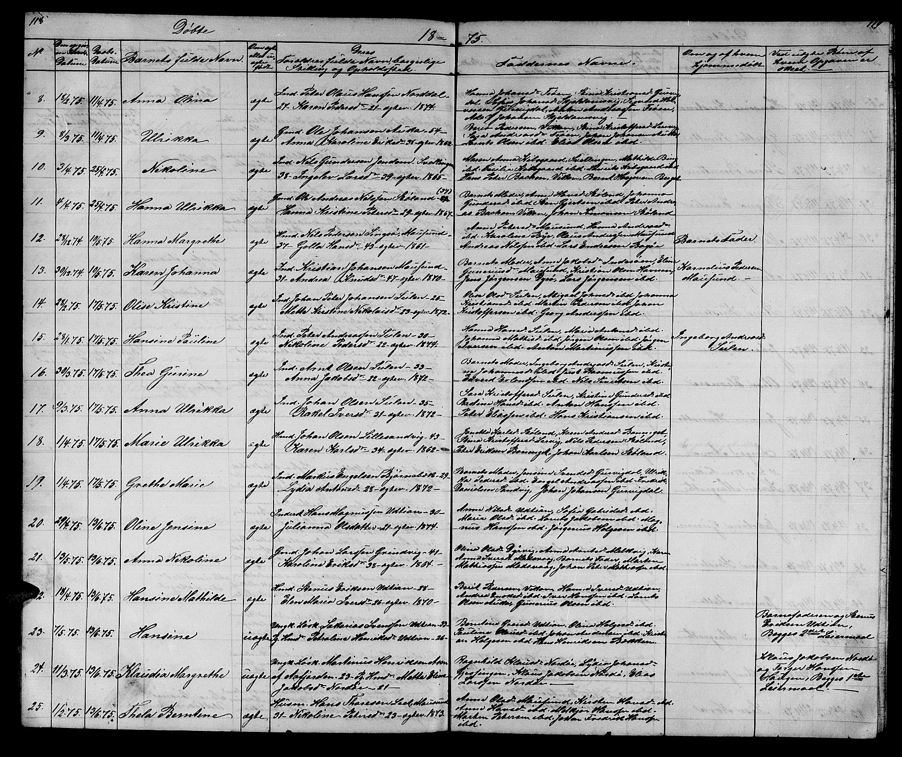 Ministerialprotokoller, klokkerbøker og fødselsregistre - Sør-Trøndelag, AV/SAT-A-1456/640/L0583: Parish register (copy) no. 640C01, 1866-1877, p. 118-119