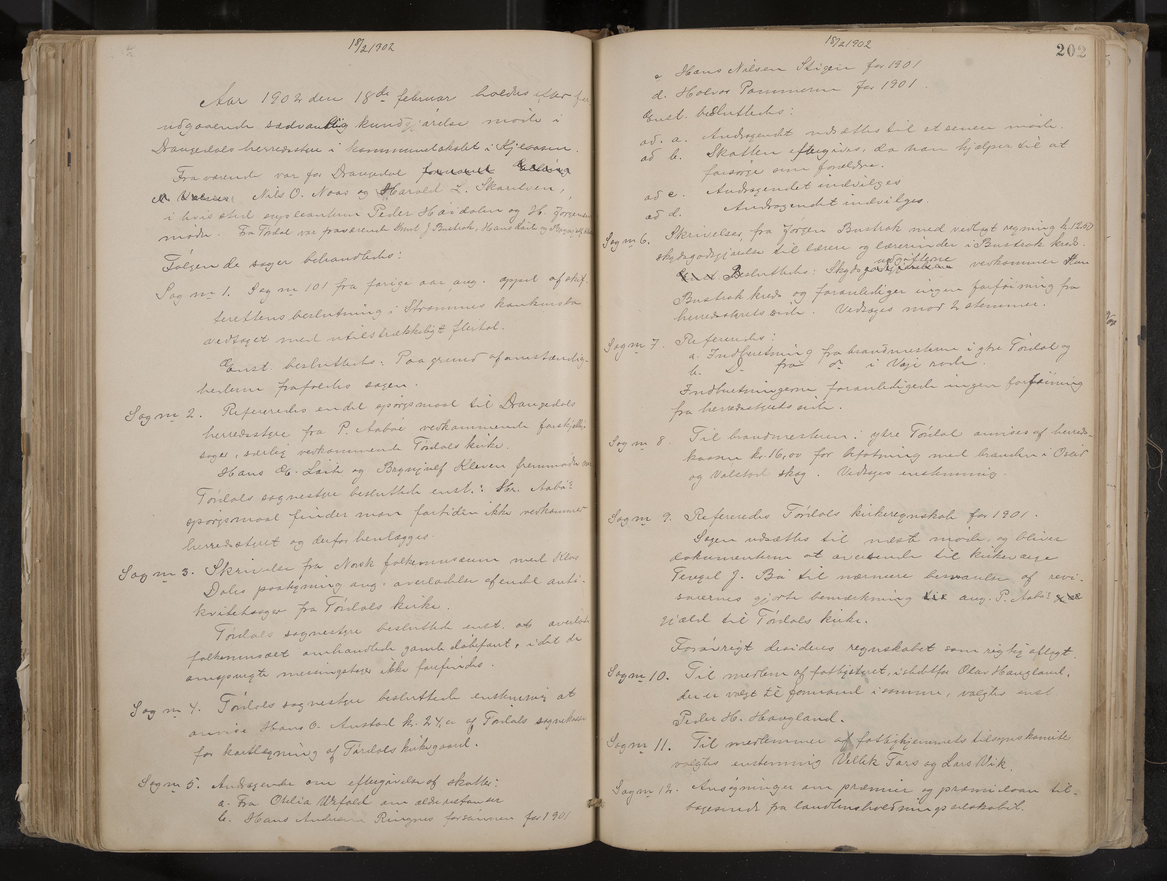 Drangedal formannskap og sentraladministrasjon, IKAK/0817021/A/L0003: Møtebok, 1893-1906, p. 202