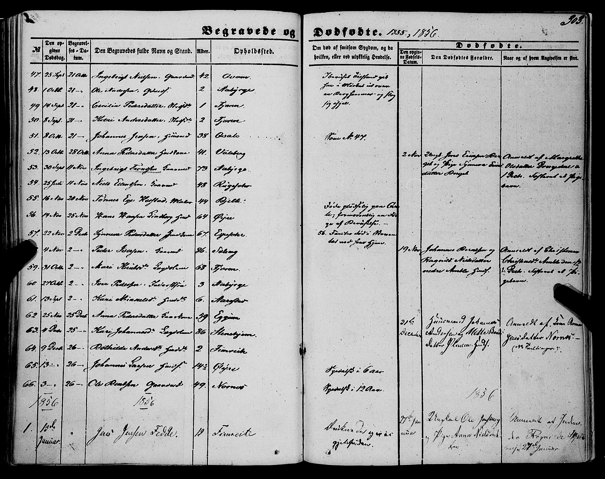 Sogndal sokneprestembete, AV/SAB-A-81301/H/Haa/Haaa/L0012II: Parish register (official) no. A 12II, 1847-1877, p. 303
