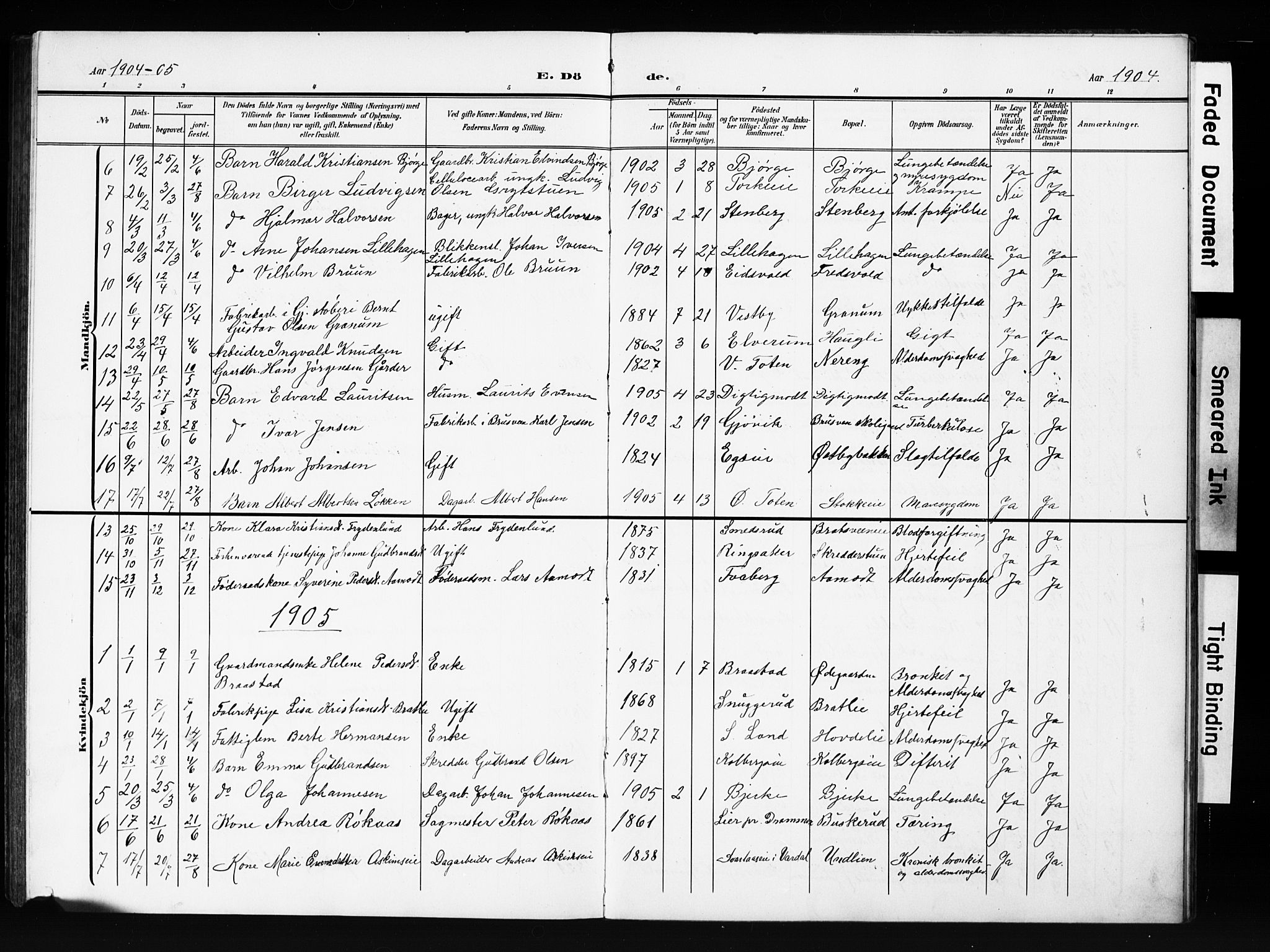 Vardal prestekontor, AV/SAH-PREST-100/H/Ha/Hab/L0013: Parish register (copy) no. 13, 1904-1915