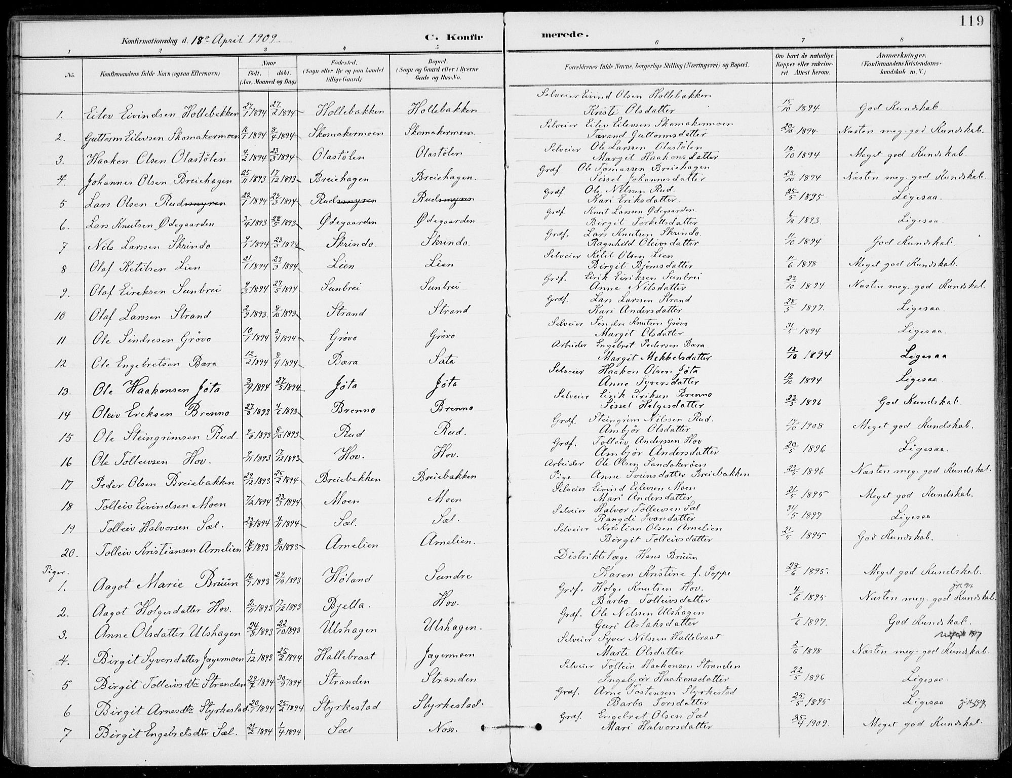 Ål kirkebøker, SAKO/A-249/F/Fa/L0009: Parish register (official) no. I 9, 1897-1915, p. 119