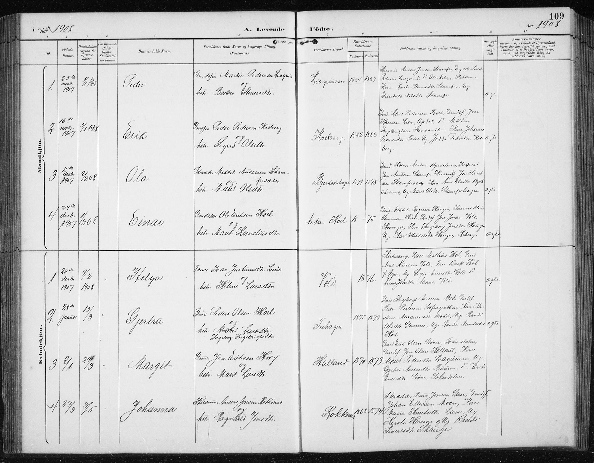 Ministerialprotokoller, klokkerbøker og fødselsregistre - Sør-Trøndelag, SAT/A-1456/674/L0876: Parish register (copy) no. 674C03, 1892-1912, p. 109