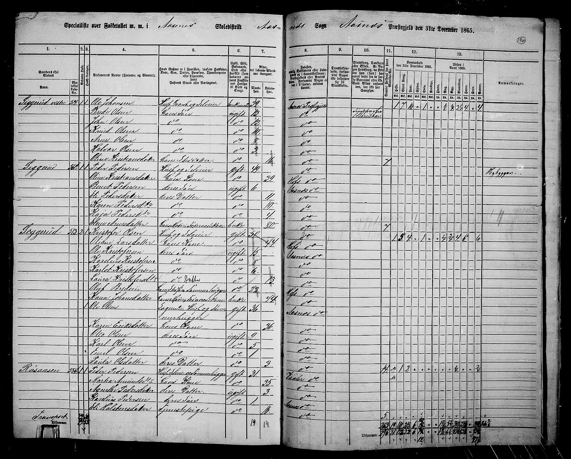 RA, 1865 census for Åsnes, 1865, p. 178