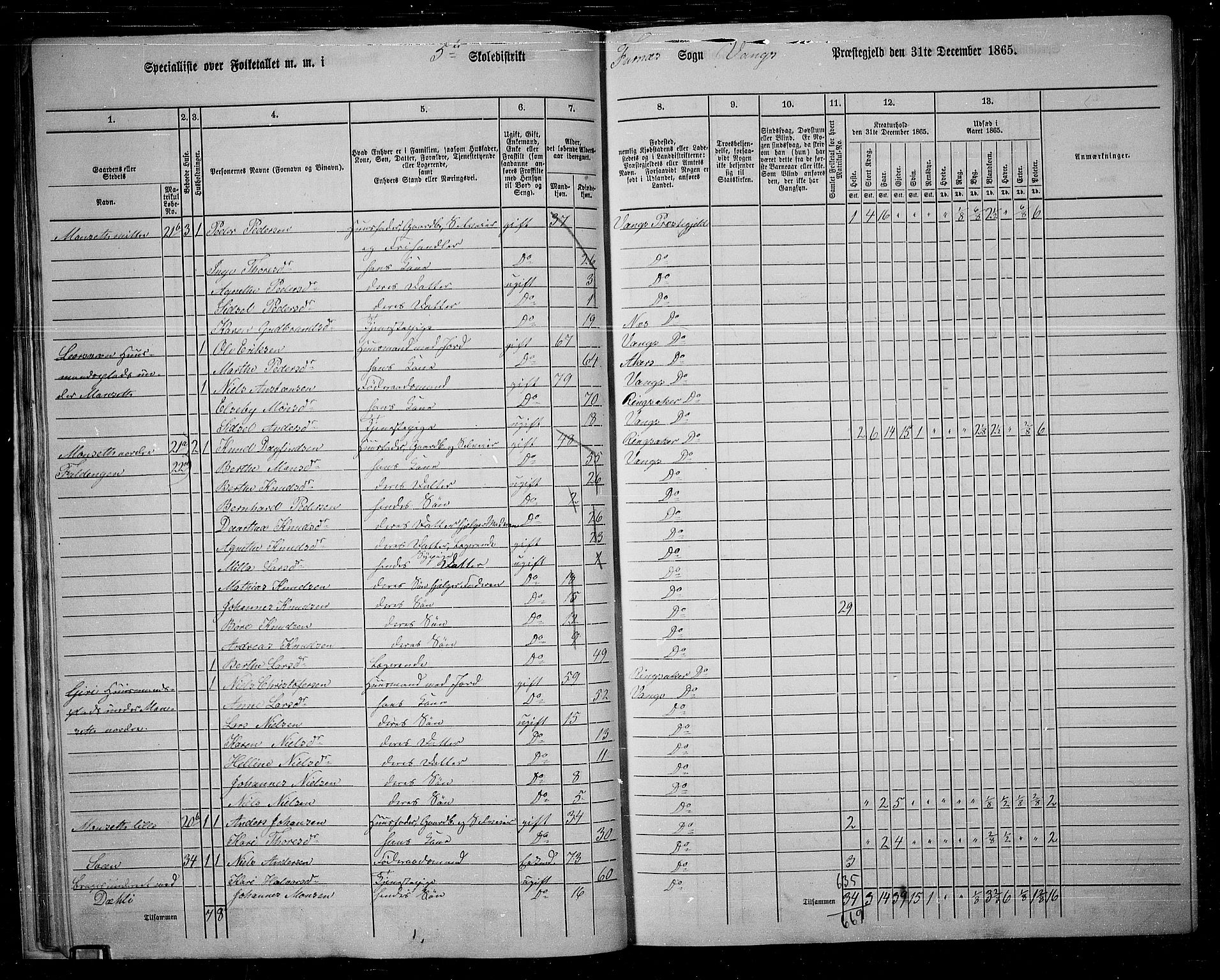 RA, 1865 census for Vang/Vang og Furnes, 1865, p. 36