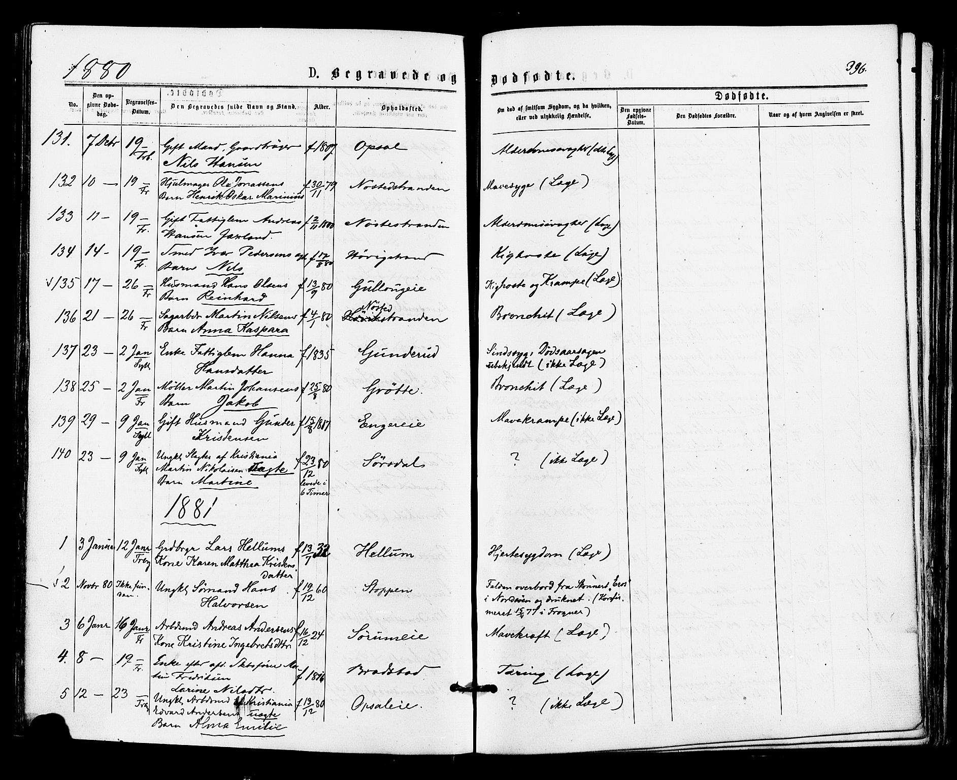 Lier kirkebøker, SAKO/A-230/F/Fa/L0014: Parish register (official) no. I 14, 1875-1882, p. 396