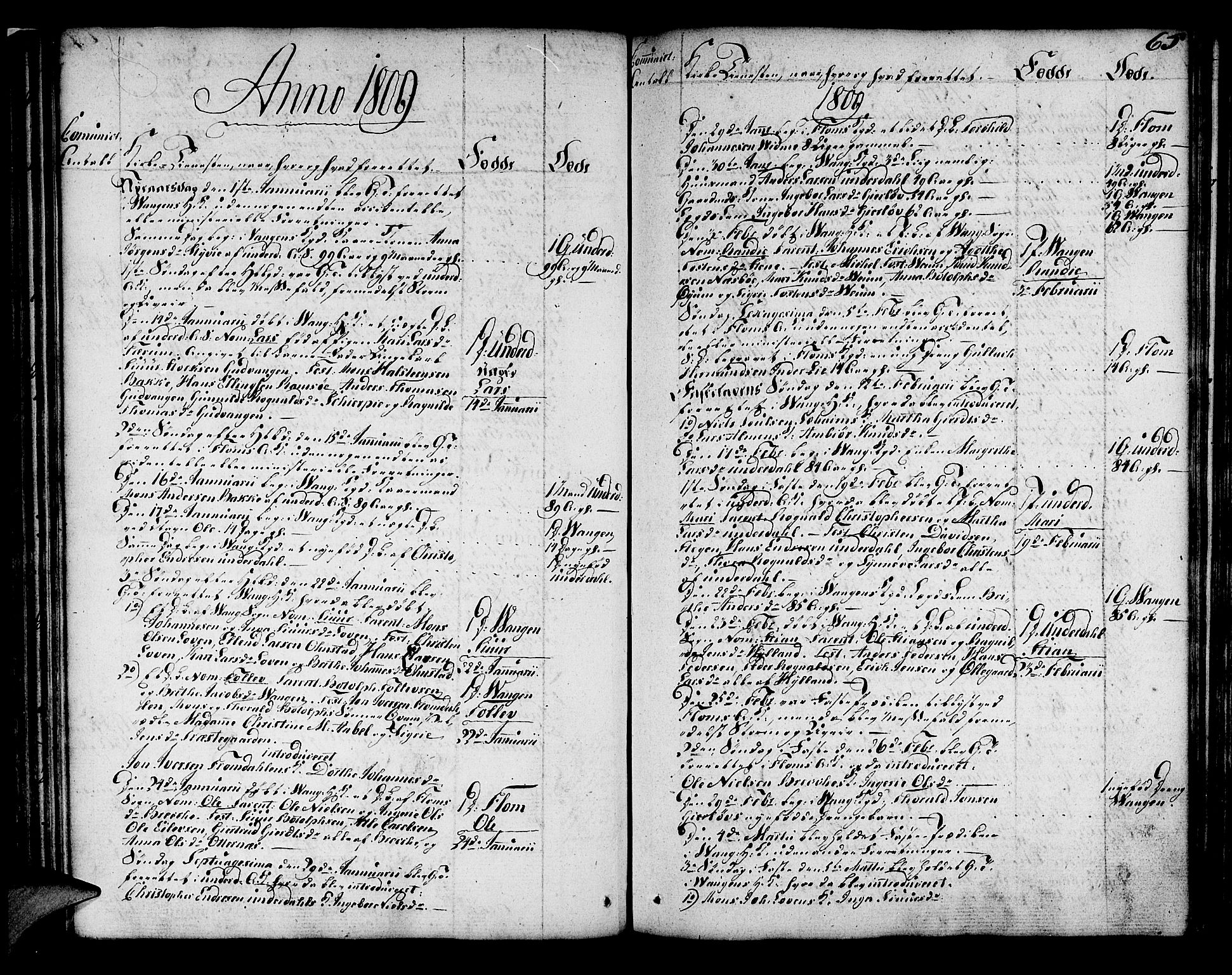 Aurland sokneprestembete, AV/SAB-A-99937/H/Ha/Haa/L0005: Parish register (official) no. A 5, 1801-1821, p. 65