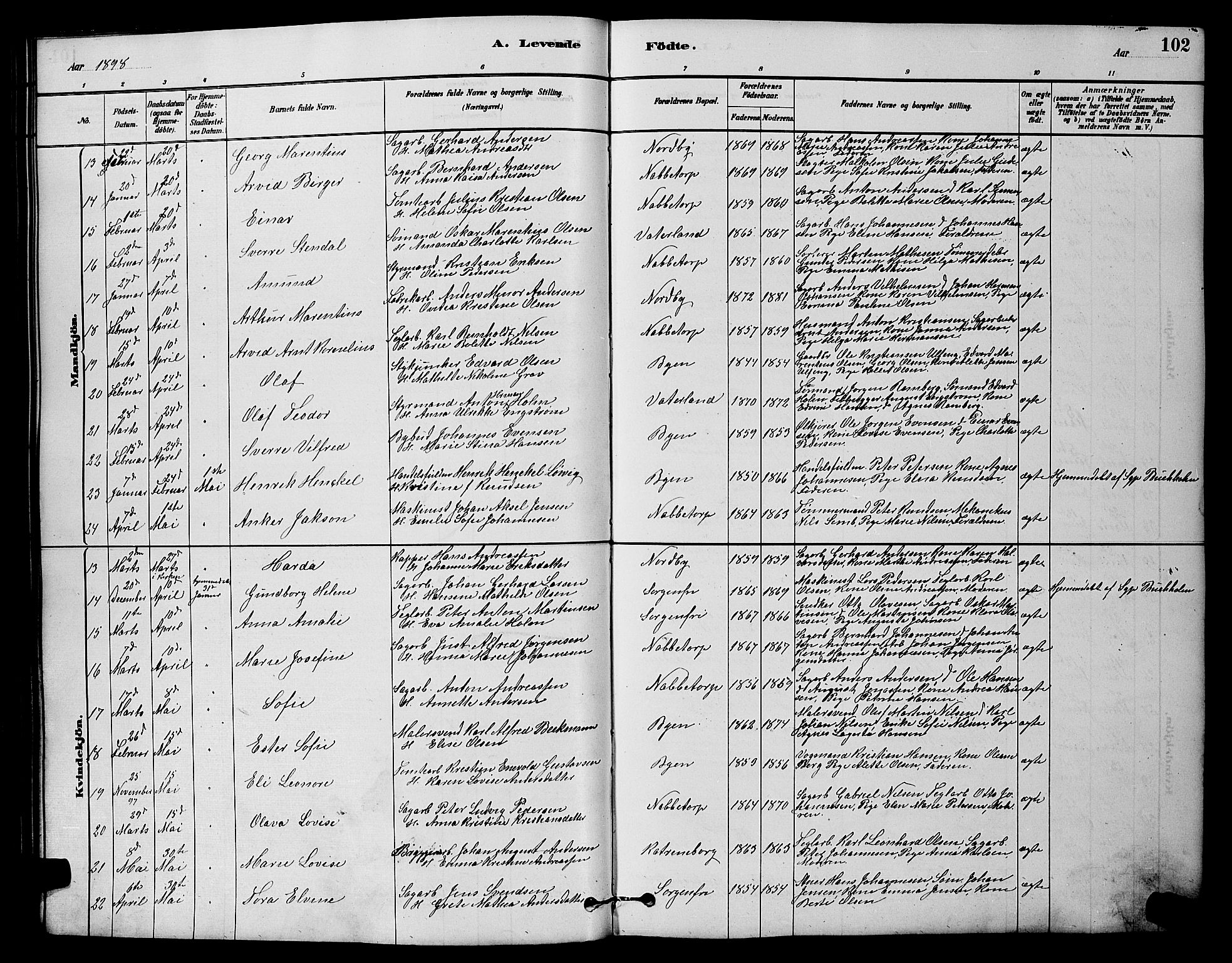 Østre Fredrikstad prestekontor Kirkebøker, SAO/A-10907/G/Ga/L0001: Parish register (copy) no. 1, 1880-1899, p. 102