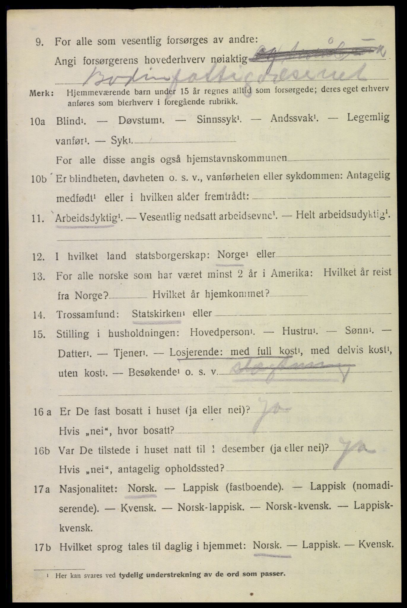 SAT, 1920 census for Bodin, 1920, p. 11631