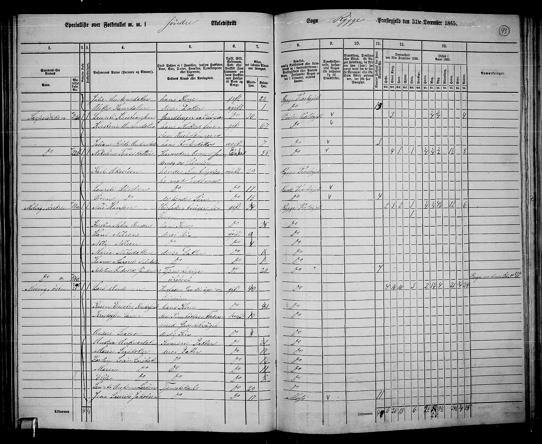 RA, 1865 census for Rygge, 1865, p. 36