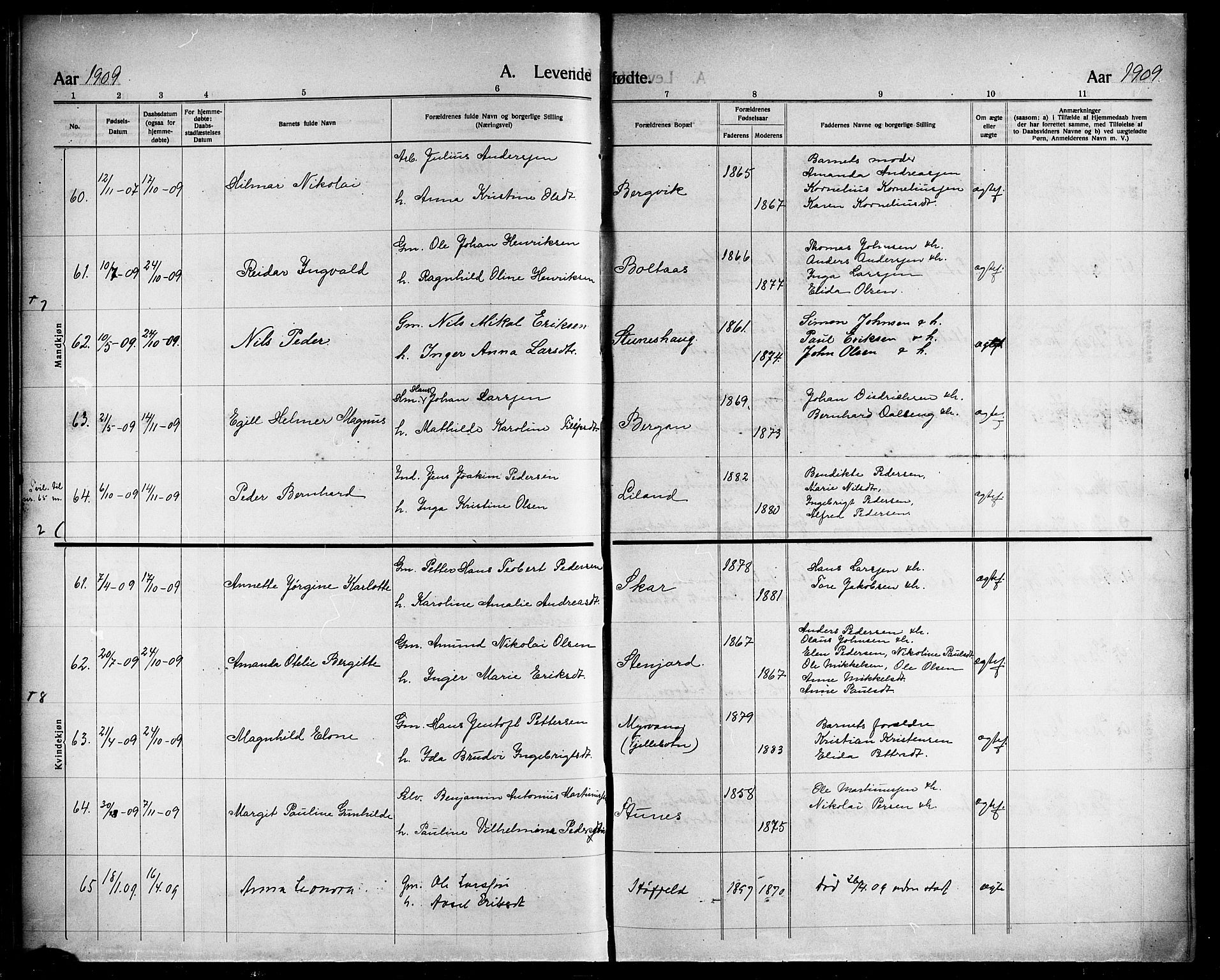 Ministerialprotokoller, klokkerbøker og fødselsregistre - Nordland, AV/SAT-A-1459/863/L0916: Parish register (copy) no. 863C06, 1907-1921