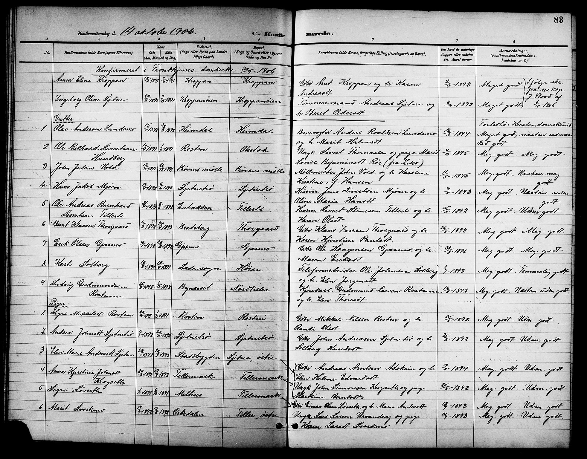 Ministerialprotokoller, klokkerbøker og fødselsregistre - Sør-Trøndelag, SAT/A-1456/621/L0460: Parish register (copy) no. 621C03, 1896-1914, p. 83