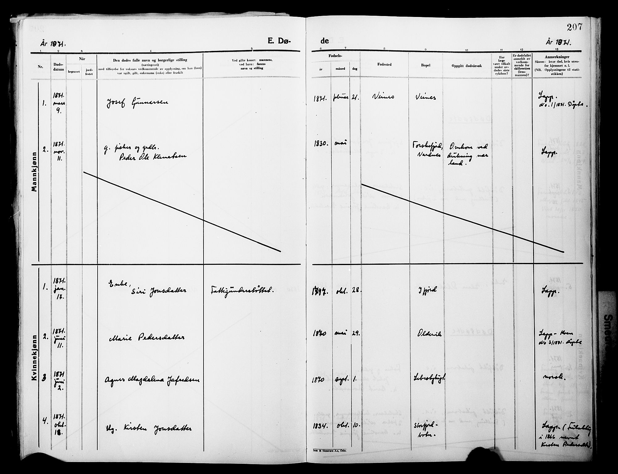 Lebesby sokneprestkontor, SATØ/S-1353/H/Ha/L0004kirke: Parish register (official) no. 4, 1870-1902, p. 207