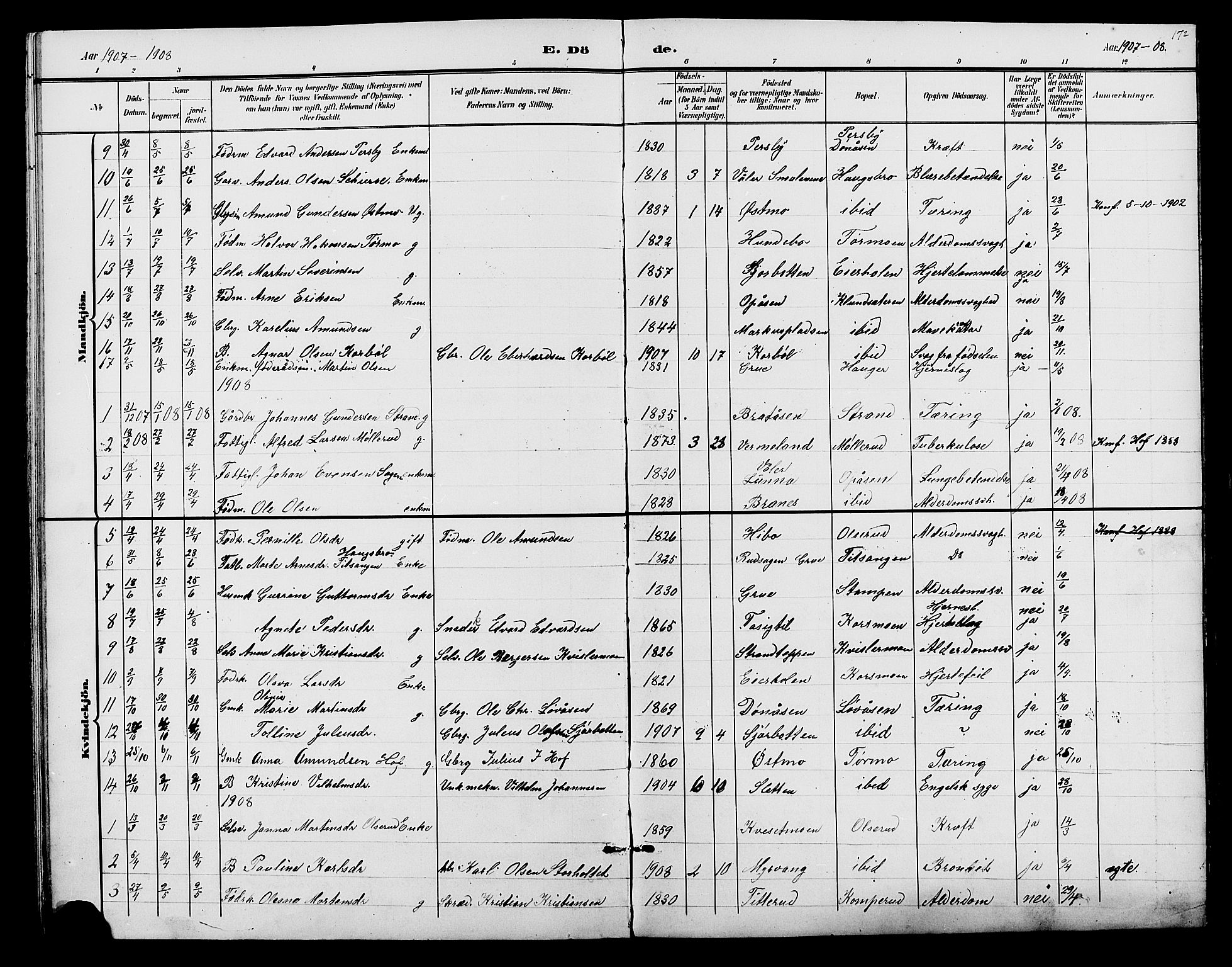 Hof prestekontor, AV/SAH-PREST-038/H/Ha/Hab/L0001: Parish register (copy) no. 1, 1895-1914, p. 172