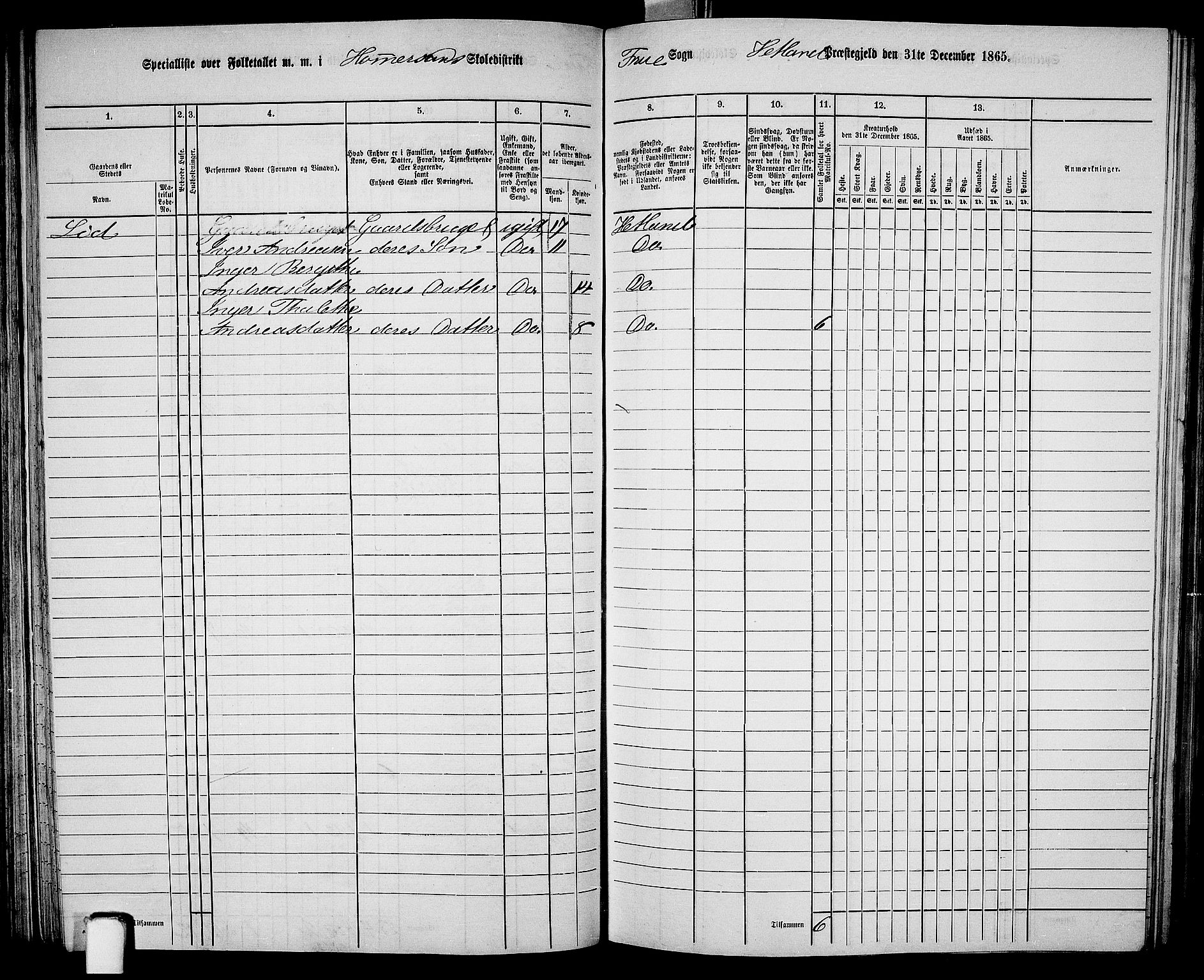 RA, 1865 census for Hetland, 1865, p. 88