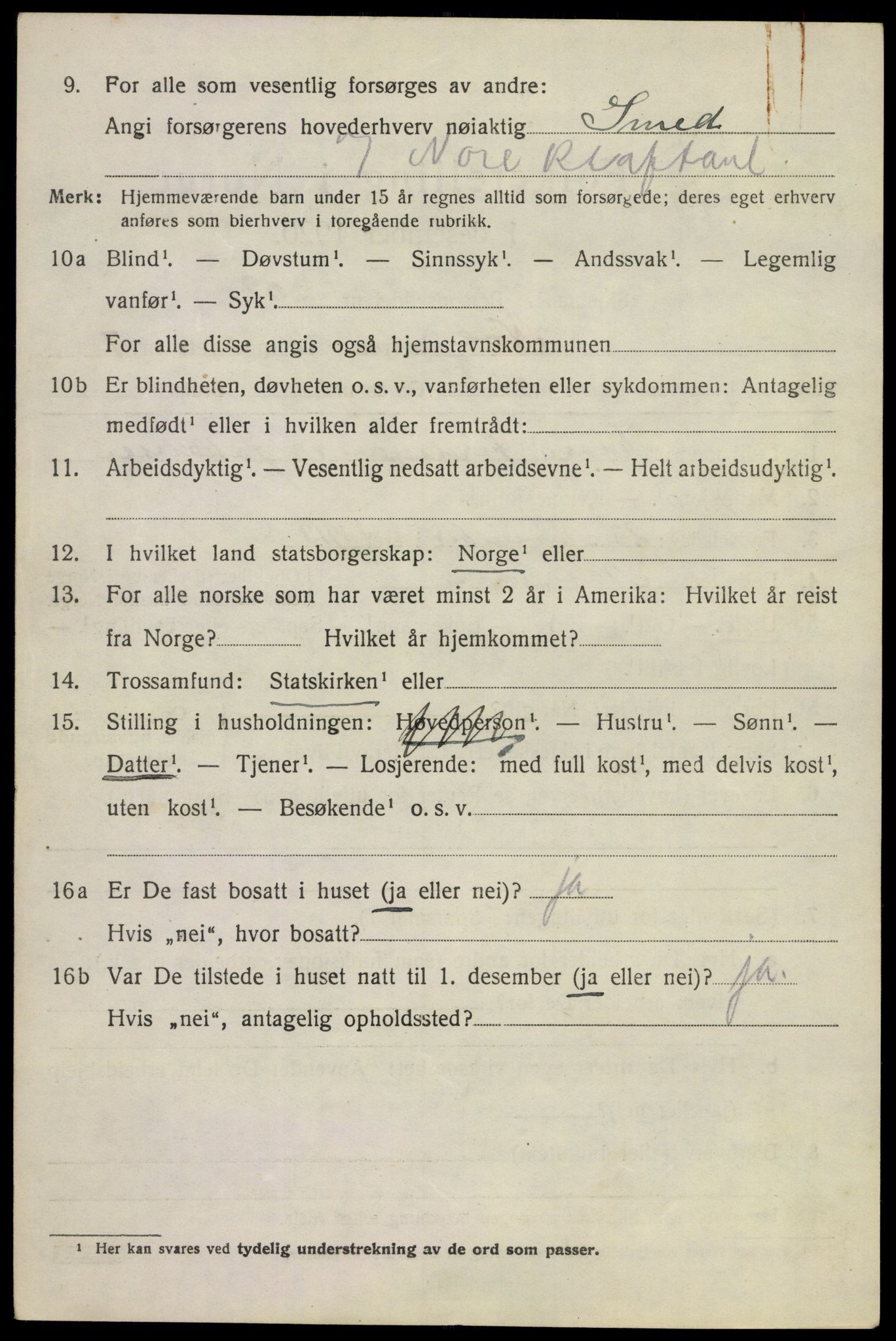 SAKO, 1920 census for Nore, 1920, p. 3985