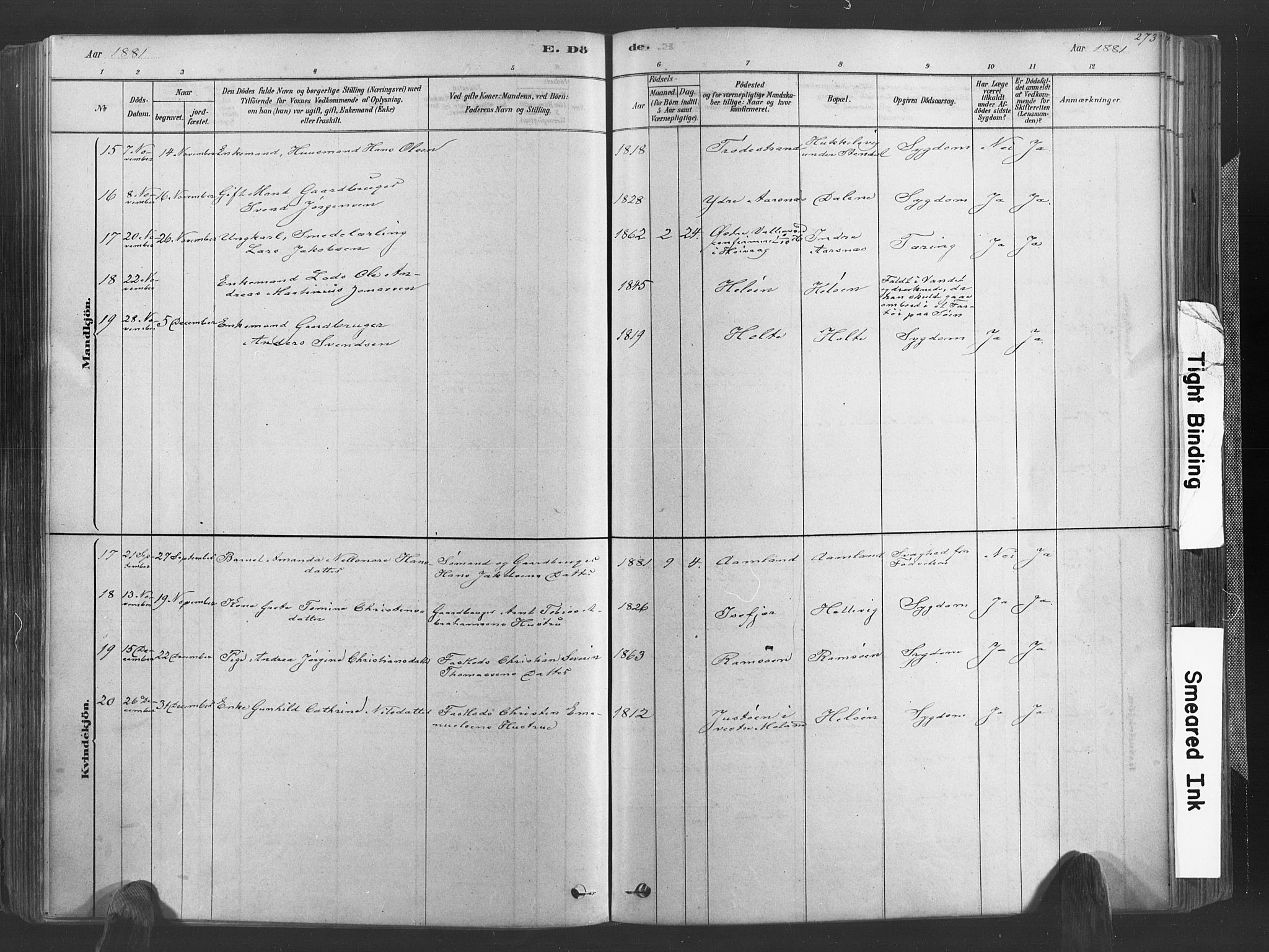 Høvåg sokneprestkontor, SAK/1111-0025/F/Fa/L0005: Parish register (official) no. A 5, 1878-1893, p. 273