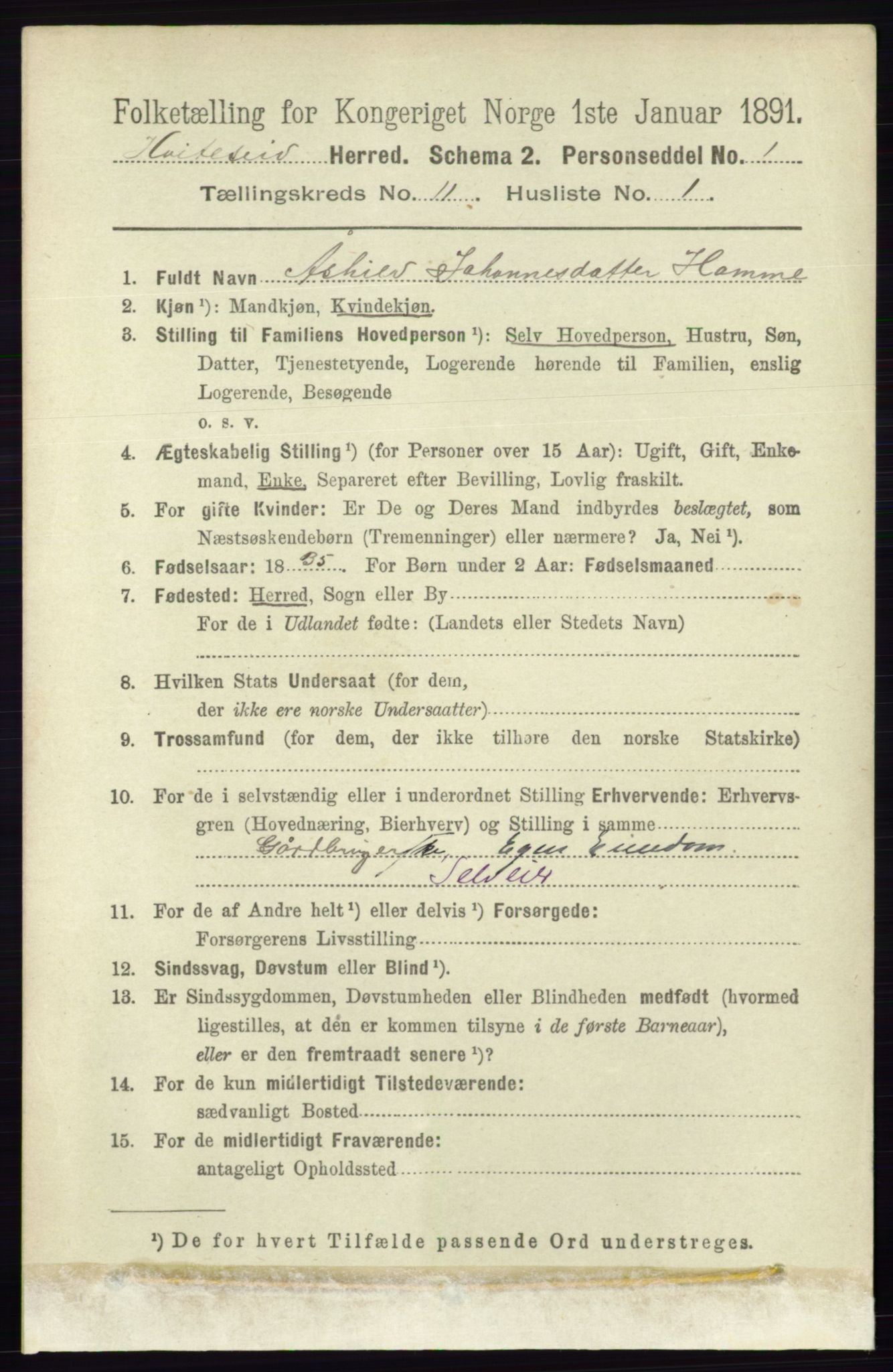 RA, 1891 census for 0829 Kviteseid, 1891, p. 2551