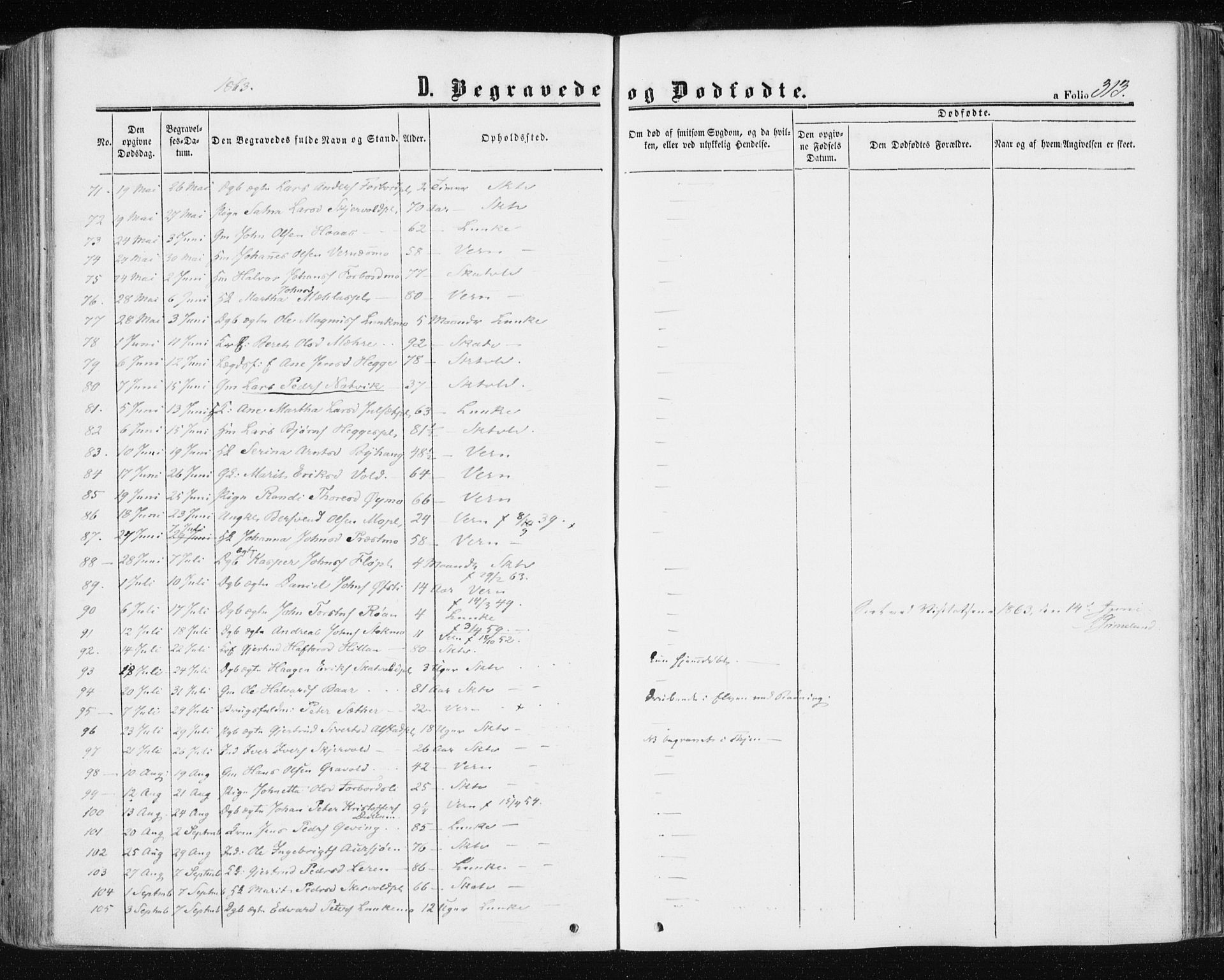 Ministerialprotokoller, klokkerbøker og fødselsregistre - Nord-Trøndelag, AV/SAT-A-1458/709/L0075: Parish register (official) no. 709A15, 1859-1870, p. 313