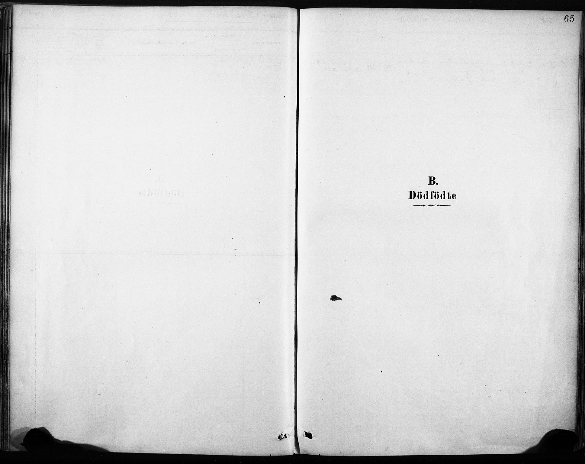 Stryn Sokneprestembete, AV/SAB-A-82501: Parish register (official) no. B 1, 1878-1907, p. 65