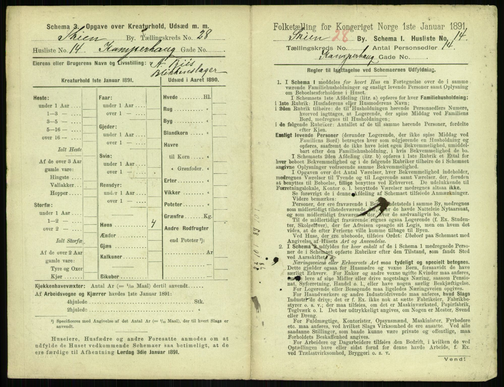 RA, 1891 census for 0806 Skien, 1891, p. 1064