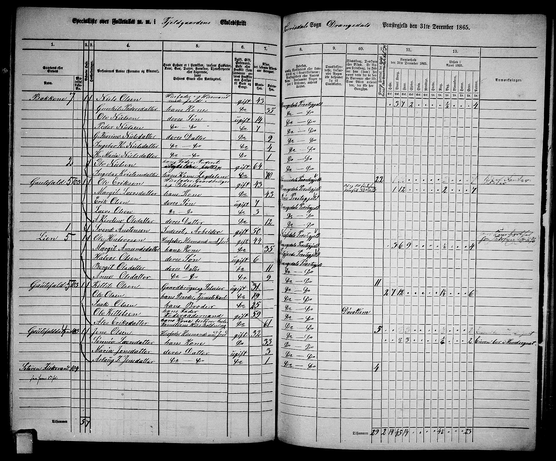 RA, 1865 census for Drangedal, 1865, p. 109